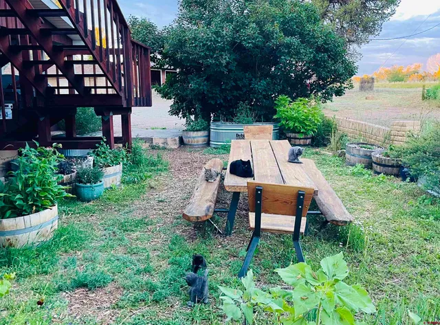 $539,000 | 14156 Highway 145, Dolores, CO 81323