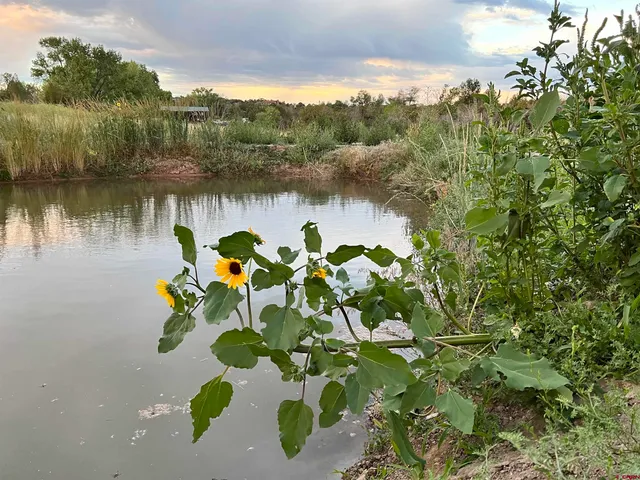 $539,000 | 14156 Highway 145, Dolores, CO 81323