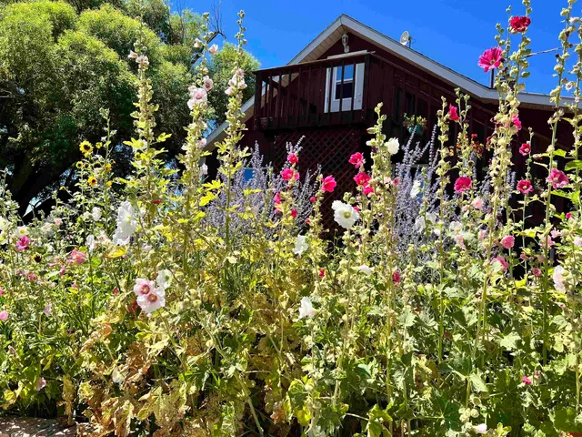 $539,000 | 14156 Highway 145, Dolores, CO 81323