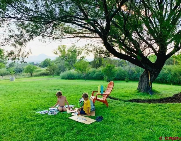 $539,000 | 14156 Highway 145, Dolores, CO 81323