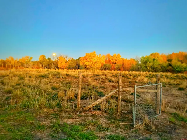 $539,000 | 14156 Highway 145, Dolores, CO 81323