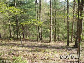 97 A Victory Road Harrisville, WV 26362 - Photo 15 of 17