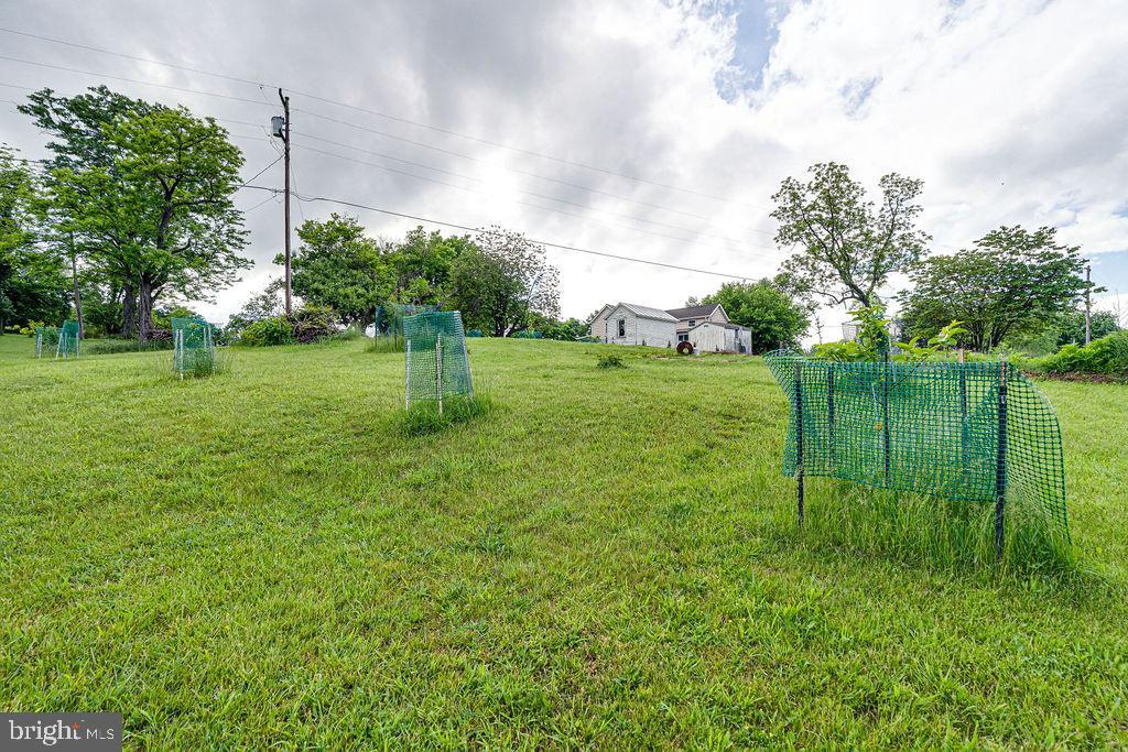 340 Andrews Road Strasburg, VA 22657 - Photo 49 of 51 Gallery Image 49