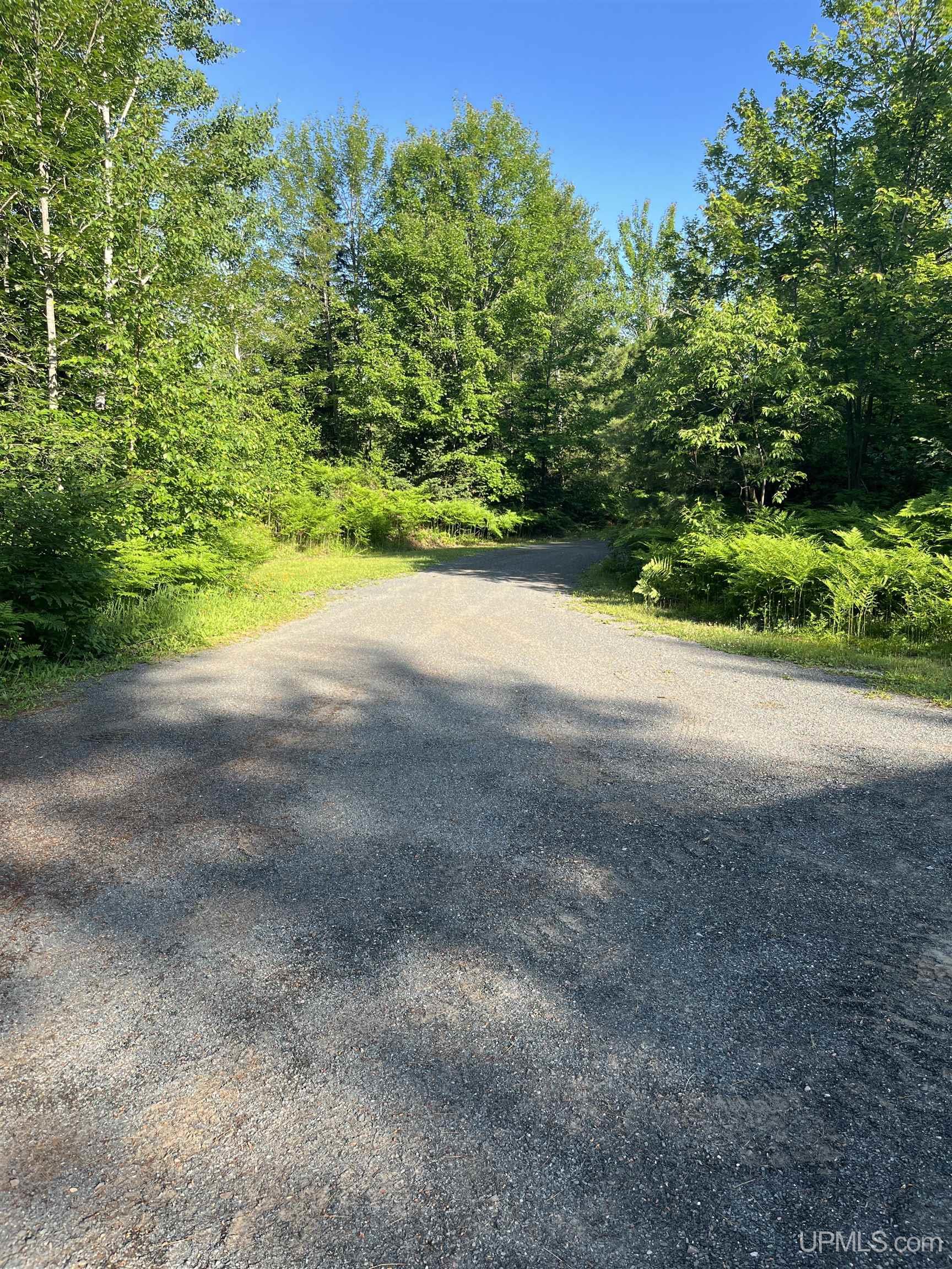 5925 Tasson Road South Ishpeming, MI 49849 - Photo 48 of 70