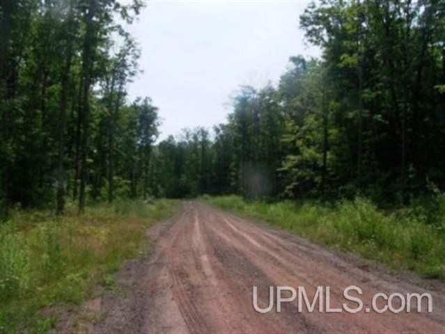 Lot 5 Maplewood Road Hurley, WI 54534 - Photo 4 of 8 Gallery Image 4