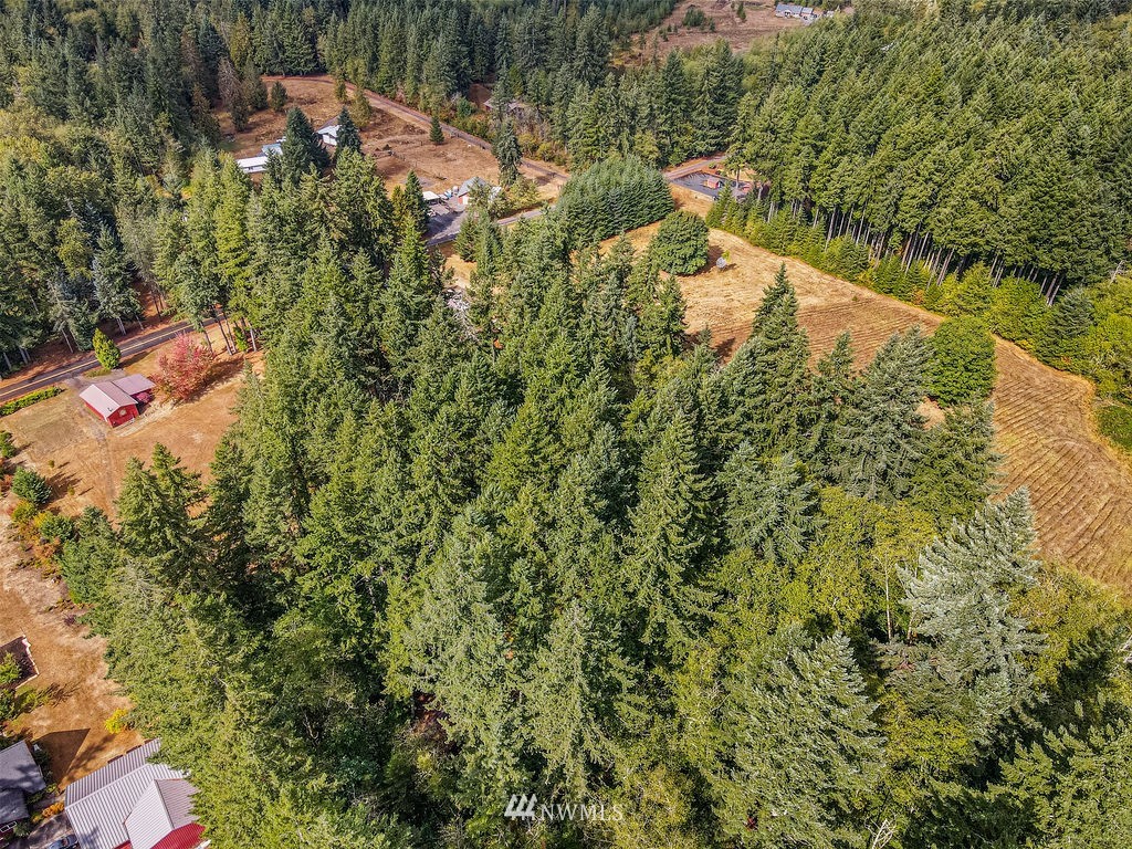 242 Hinch Road Castle Rock, WA 98611 - Photo 28 of 39 Gallery Image 28