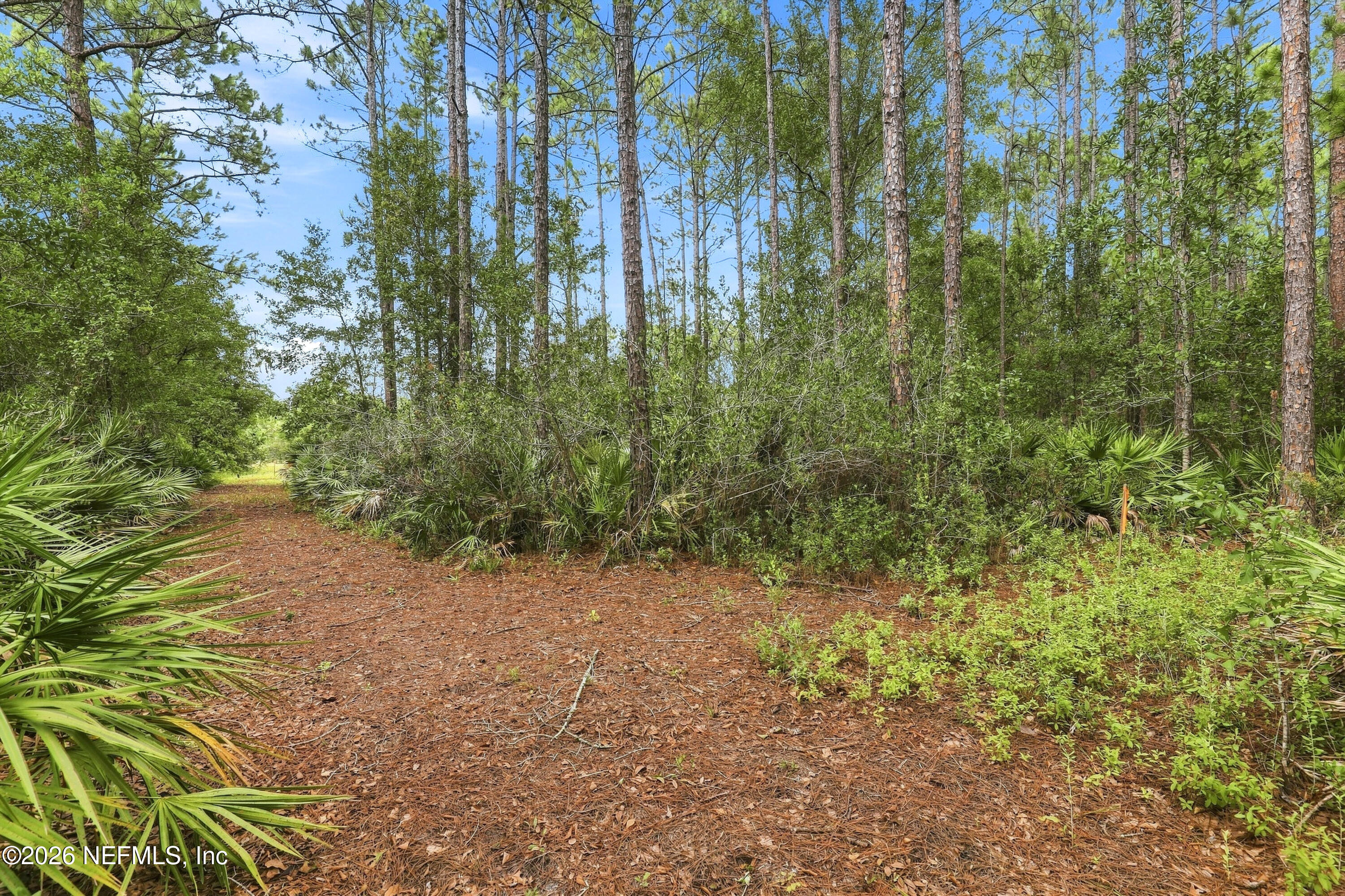 9500 Taylor Field Road Jacksonville, FL 32222 - Photo 3 of 11 Taylor Field_012