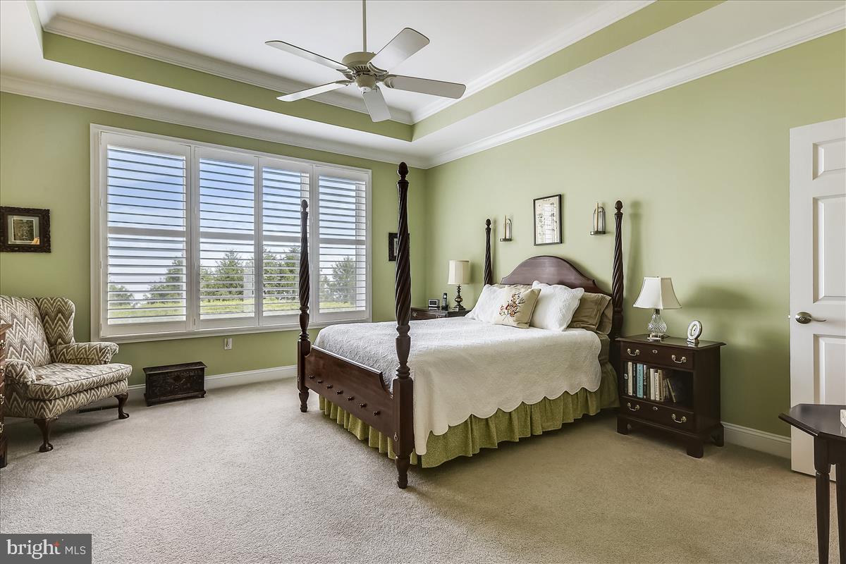 207 Riverview Road Stevensville, MD 21666 - Photo 17 of 49 High Ceilings Enhanced By Tray Ceiling