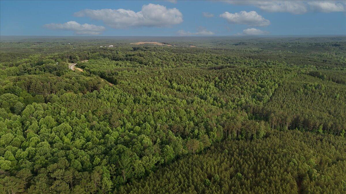 203 Tucker Road Lynn, AL 35575 - Photo 14 of 20 13-Tucker Rd-13