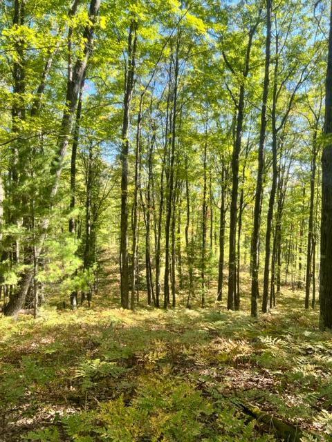 3675 Nasser (120 Acres) Road Fairview, MI 48621 - Photo 41 of 76 Gallery Image 41