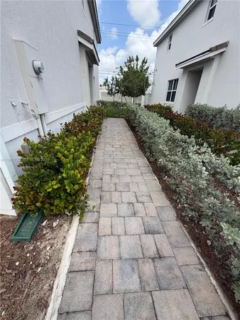 a view of backyard with potted plants
