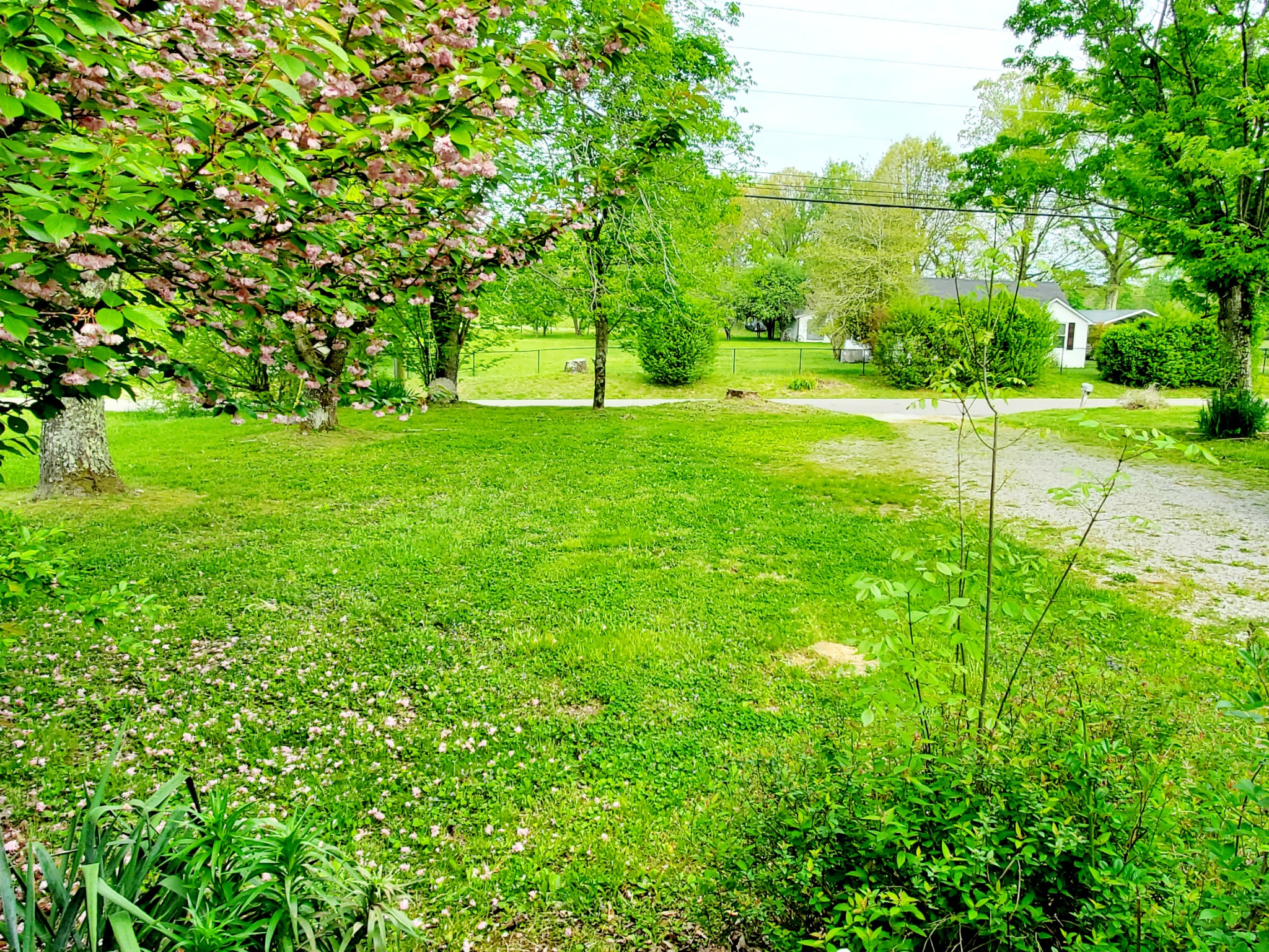 8340 Austin Bottom Road Baxter, TN 38544 - Photo 9 of 32 a view of yard with swimming pool and green space