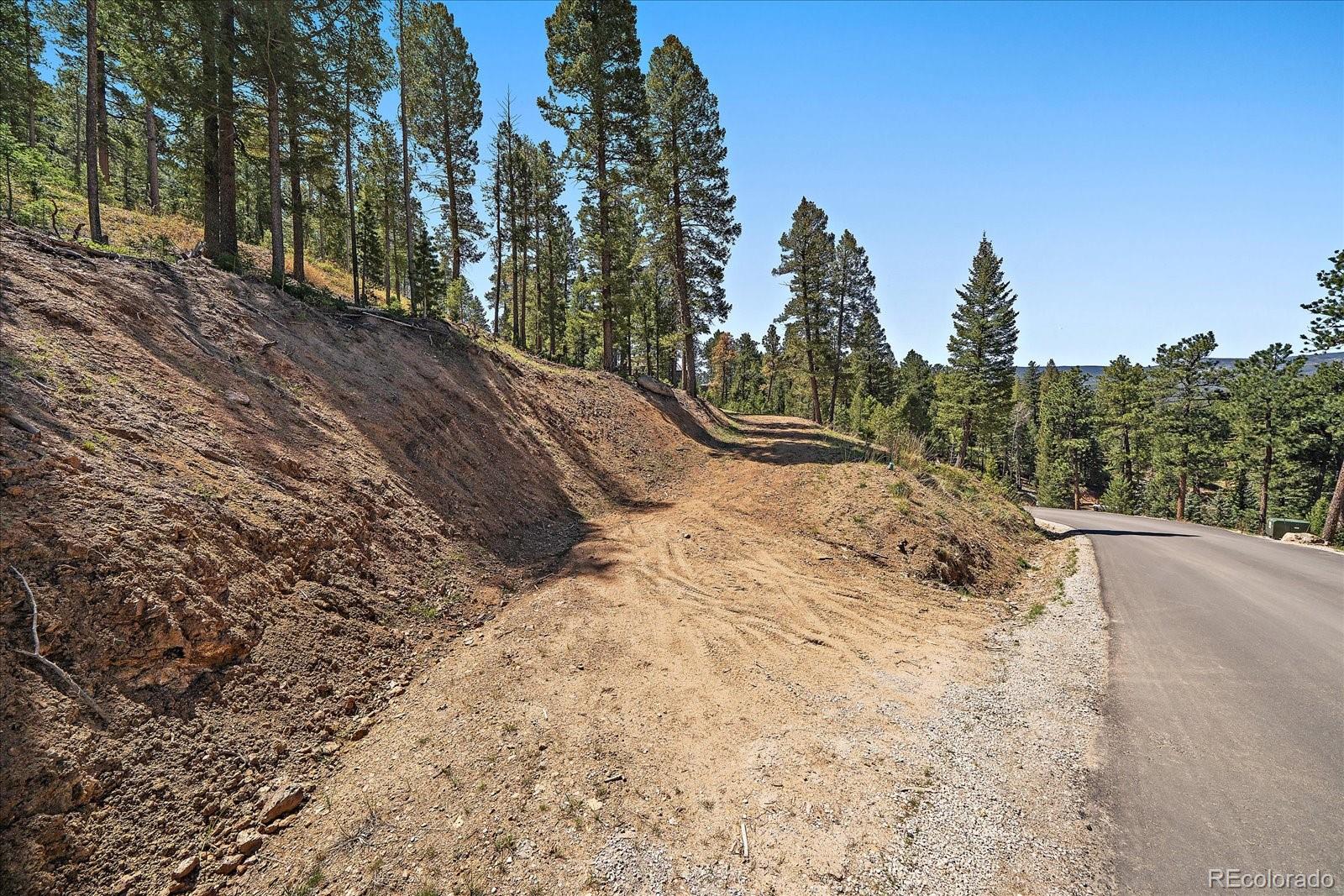 6875 Lynx Lair Road Evergreen, CO 80439 - Photo 6 of 21