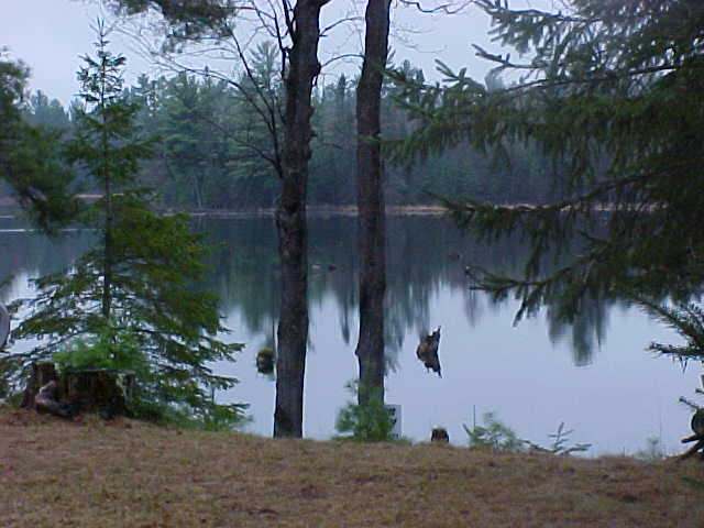 5404 Perch Lake Road Eagle River, WI 54521 - Photo 8 of 12 Gallery Image 8