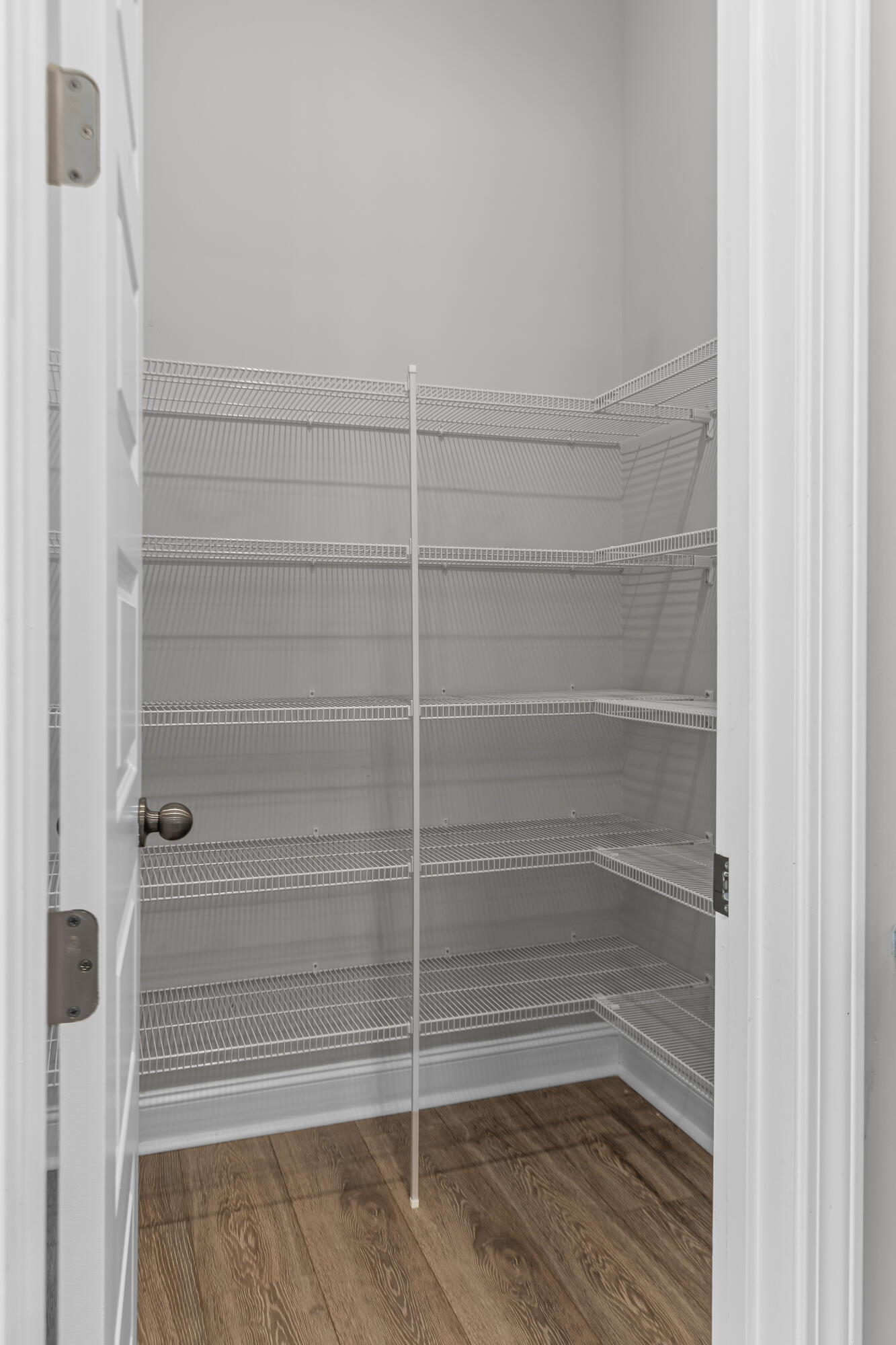 385 Woodgate Way Summerville, SC 29485 - Photo 17 of 45 Walk in Pantry