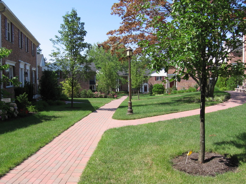 67 New England Avenue, Unit F Summit, NJ 07901 - Photo 13 of 14 a view of a park with large trees