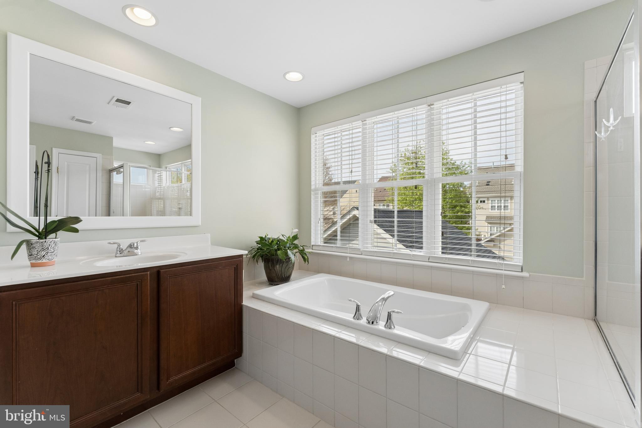 23342 Higbee Lane Brambleton, VA 20148 - Photo 38 of 73 Primary bath with soaking tub
