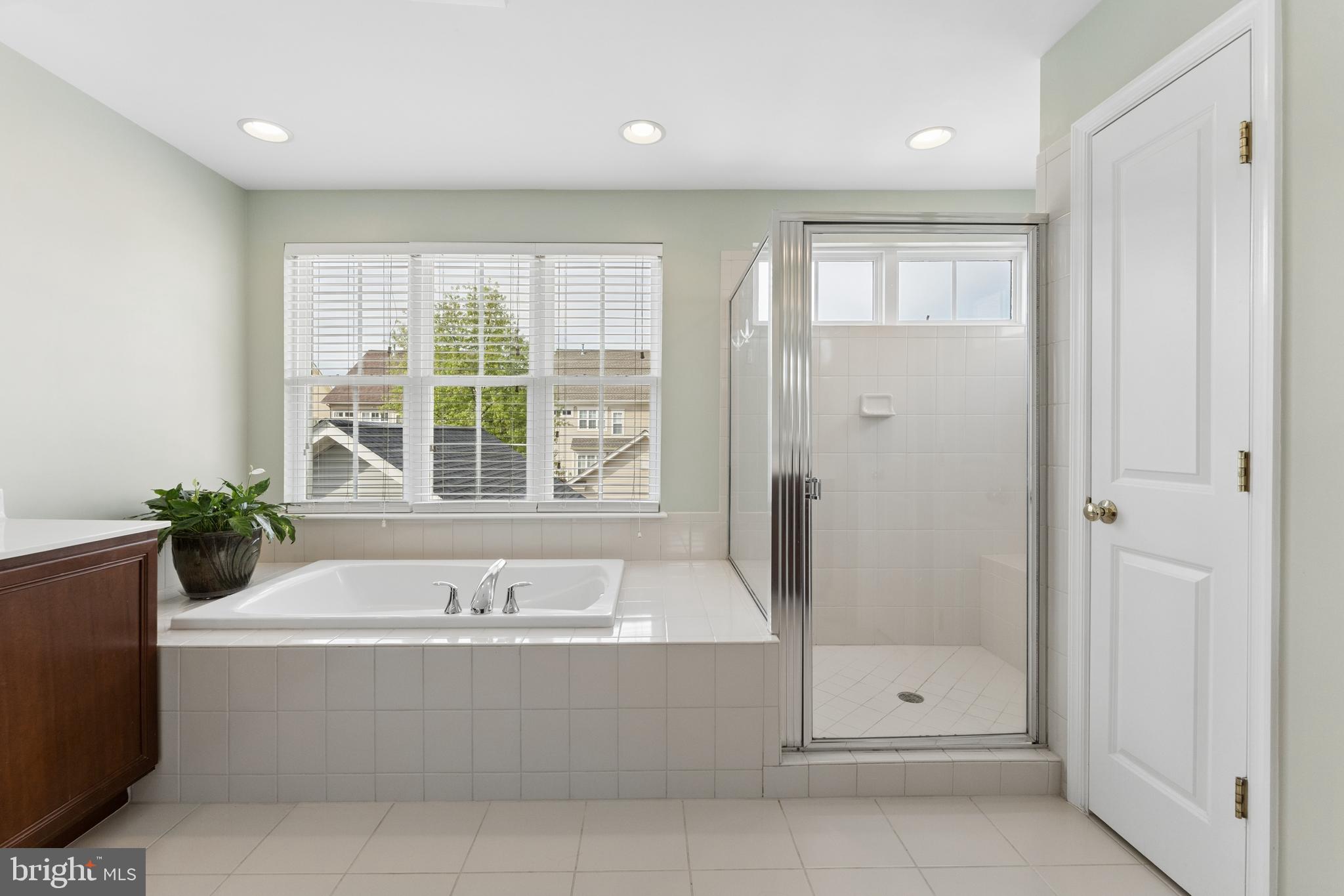 23342 Higbee Lane Brambleton, VA 20148 - Photo 40 of 73 Primary bath with soaking tub and shower