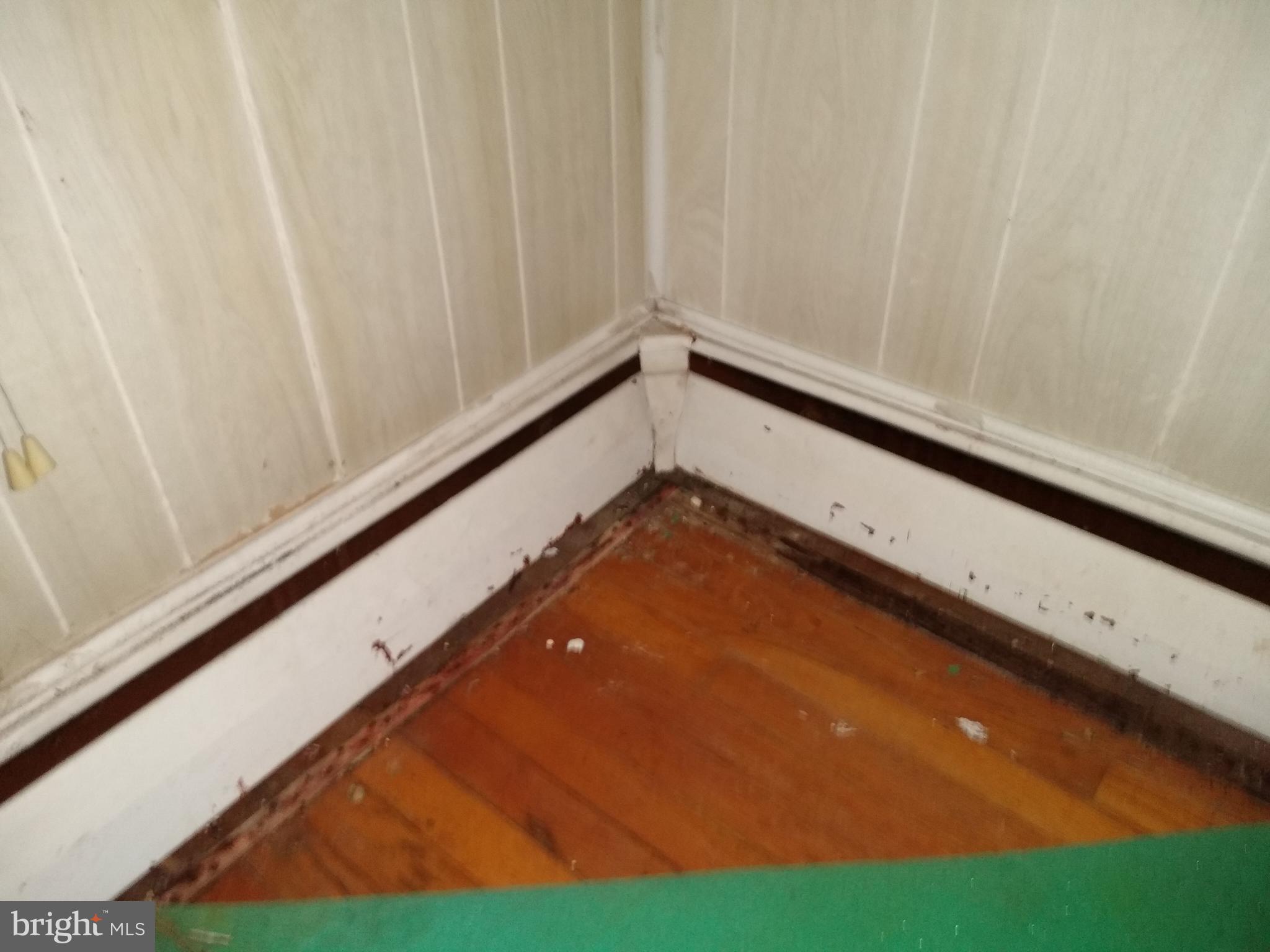 715 River Road Dover, DE 19901 - Photo 4 of 12 Hardwoods under carpet in Dining room