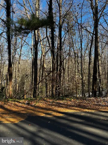 a view of street and trees