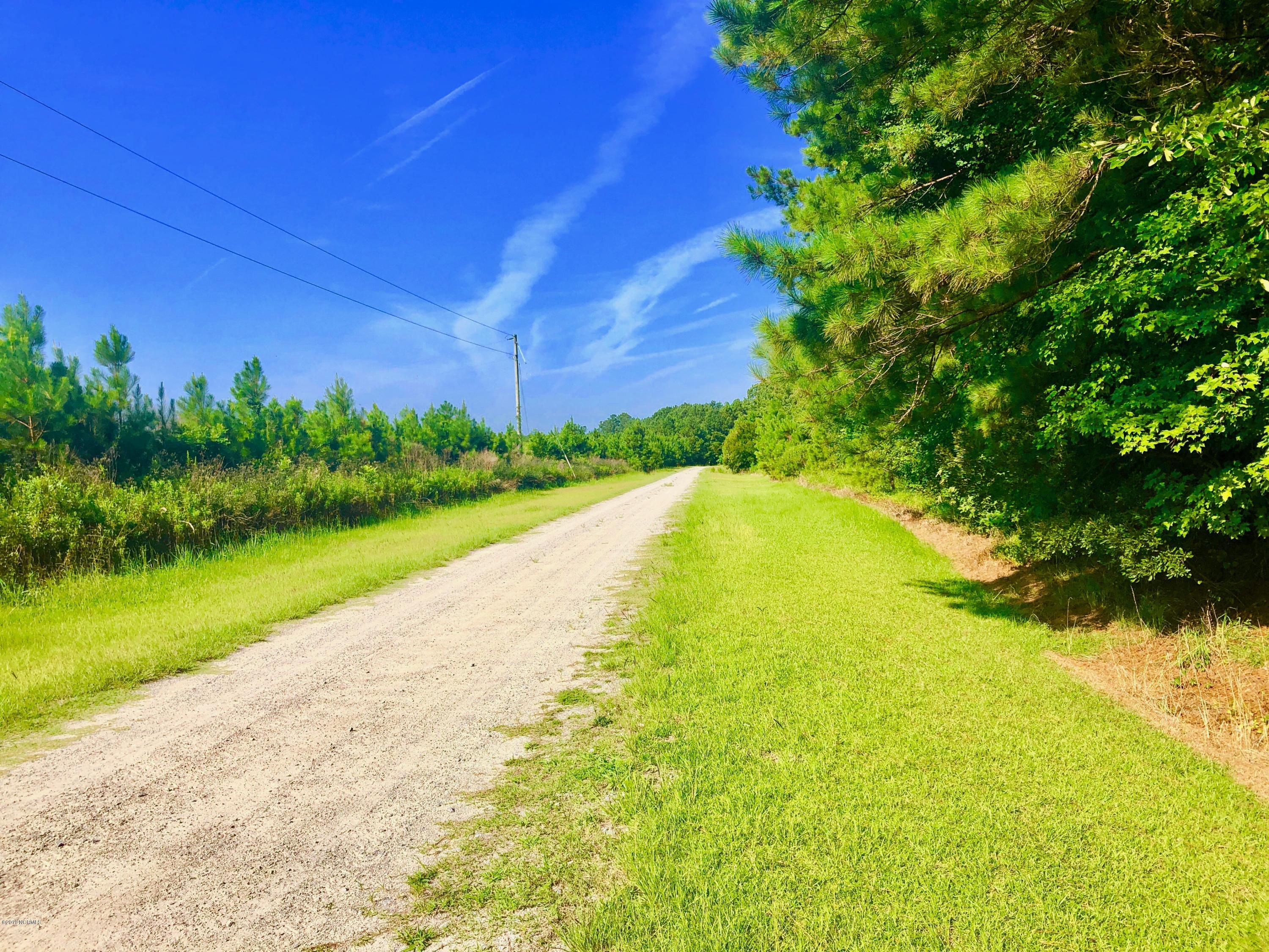 1499 Hardison Road Williamston, NC 27892 - Photo 1 of 78 144.5 acres Agriculture
