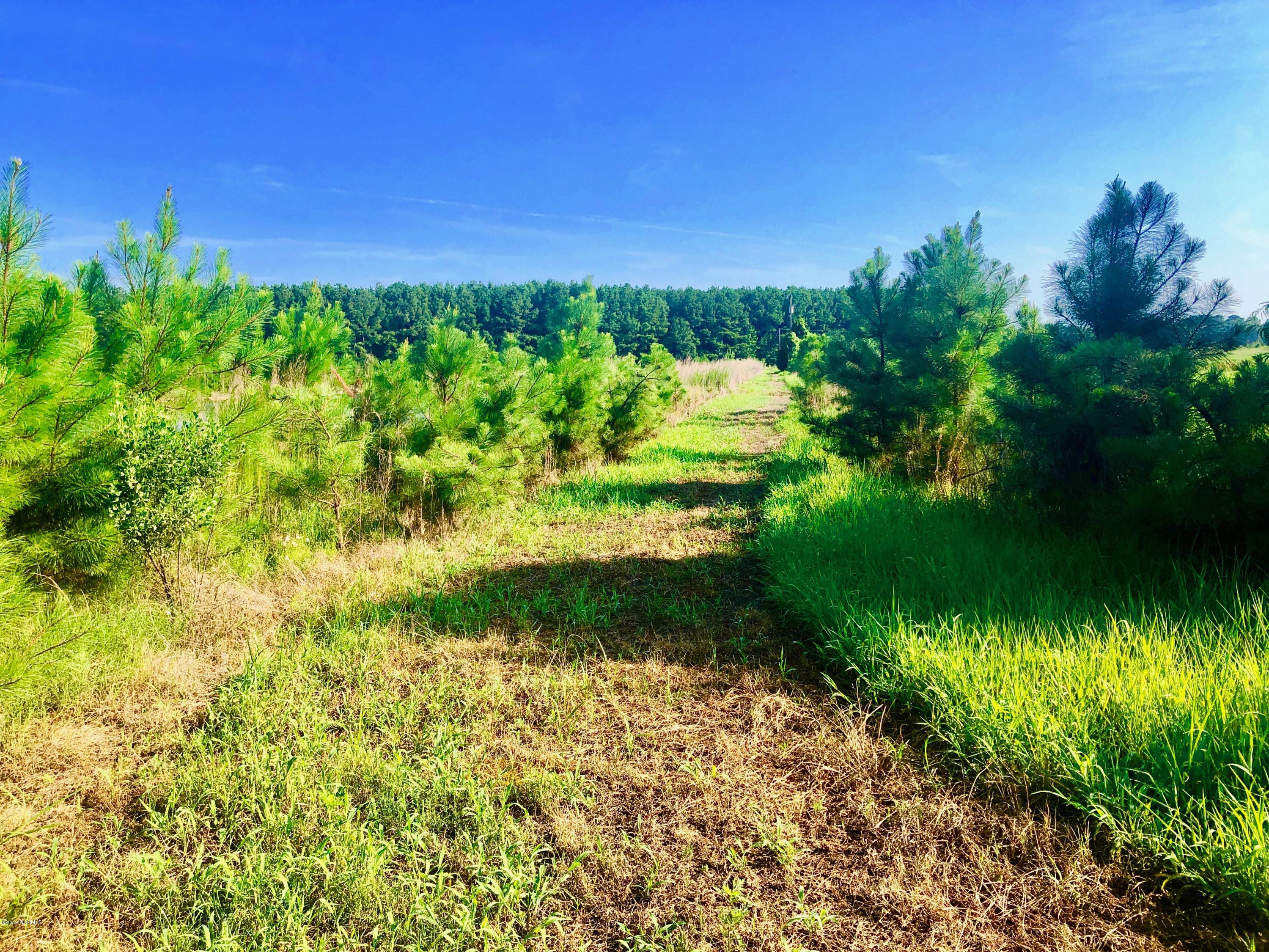 1499 Hardison Road Williamston, NC 27892 - Photo 23 of 78 IMG_8753