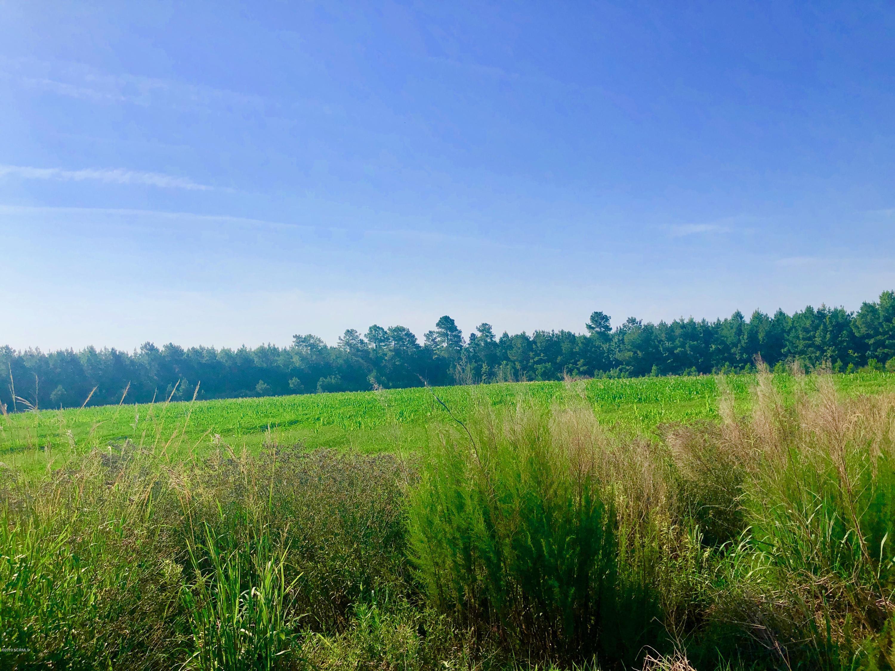 1499 Hardison Road Williamston, NC 27892 - Photo 26 of 78 IMG_8766