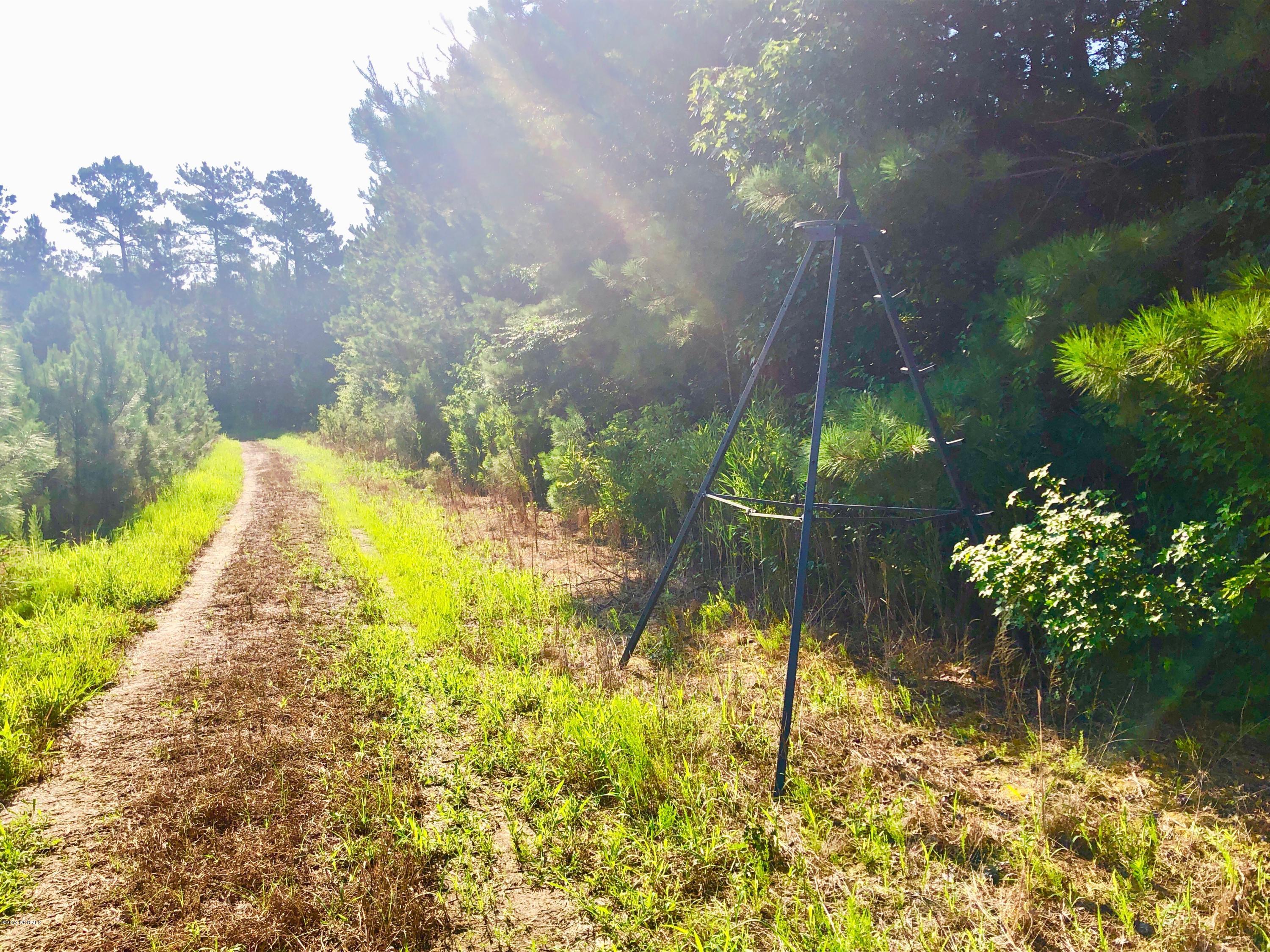 1499 Hardison Road Williamston, NC 27892 - Photo 28 of 78 IMG_8764