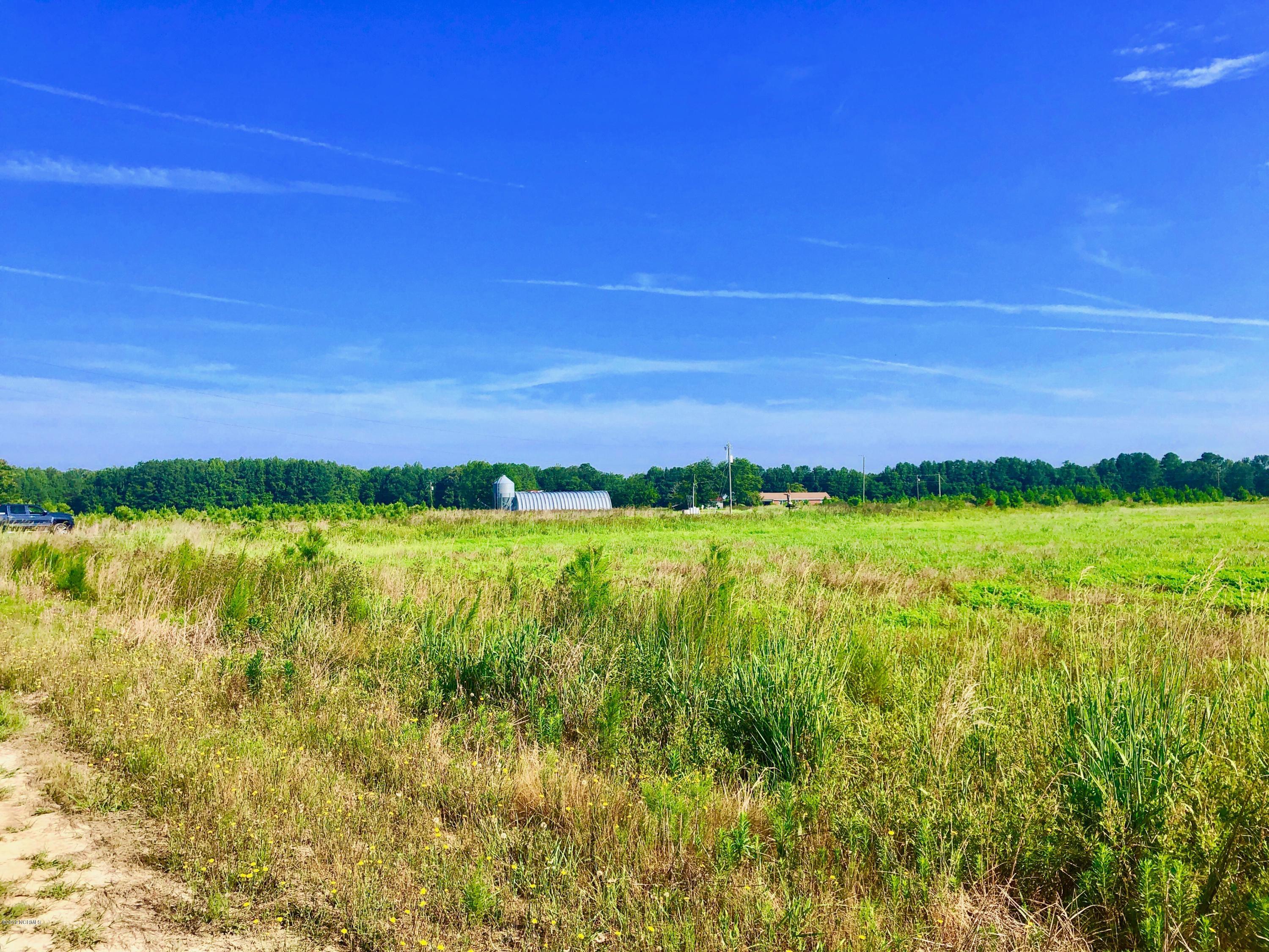1499 Hardison Road Williamston, NC 27892 - Photo 33 of 78 IMG_8768