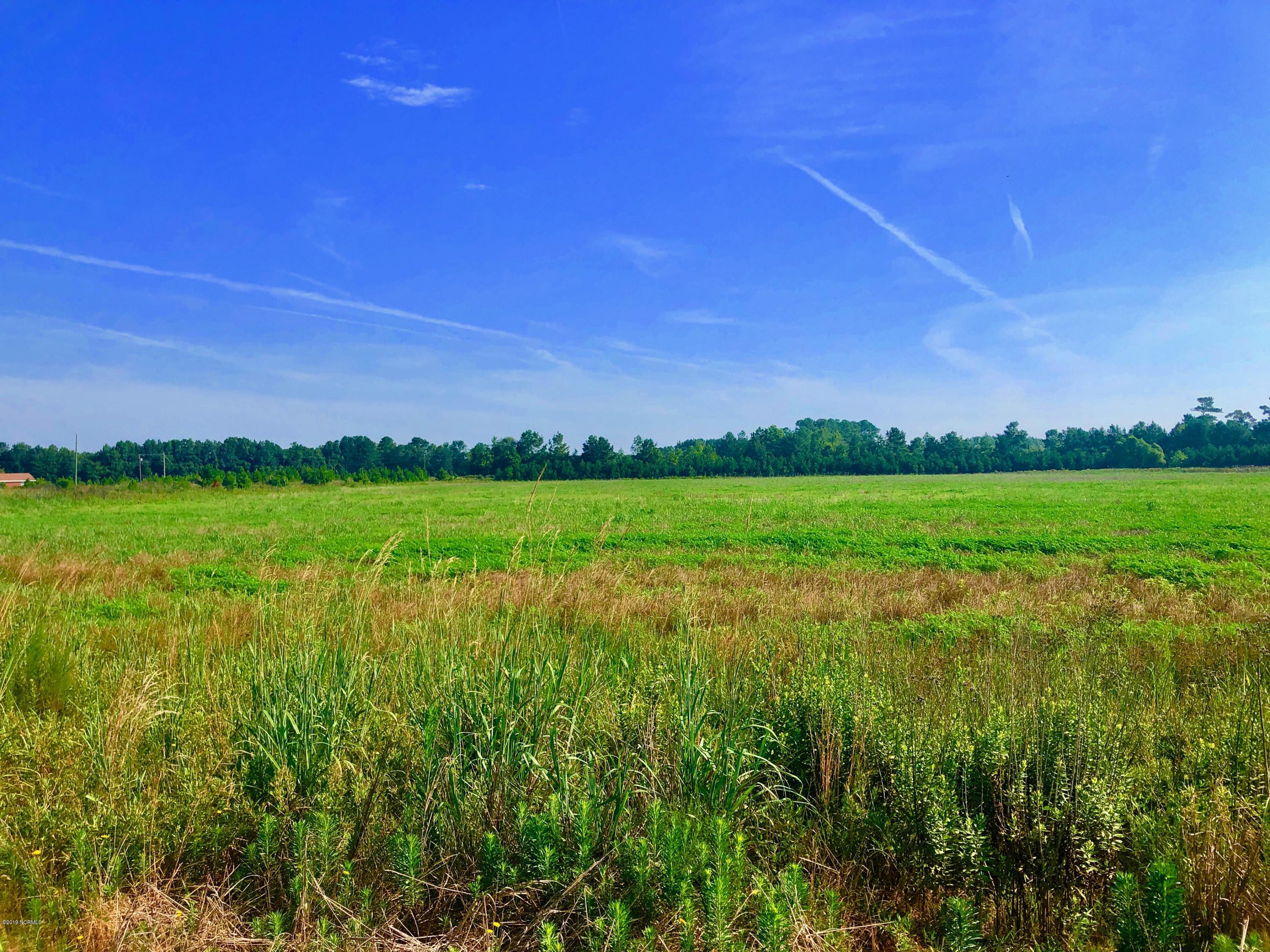 1499 Hardison Road Williamston, NC 27892 - Photo 34 of 78 IMG_8769