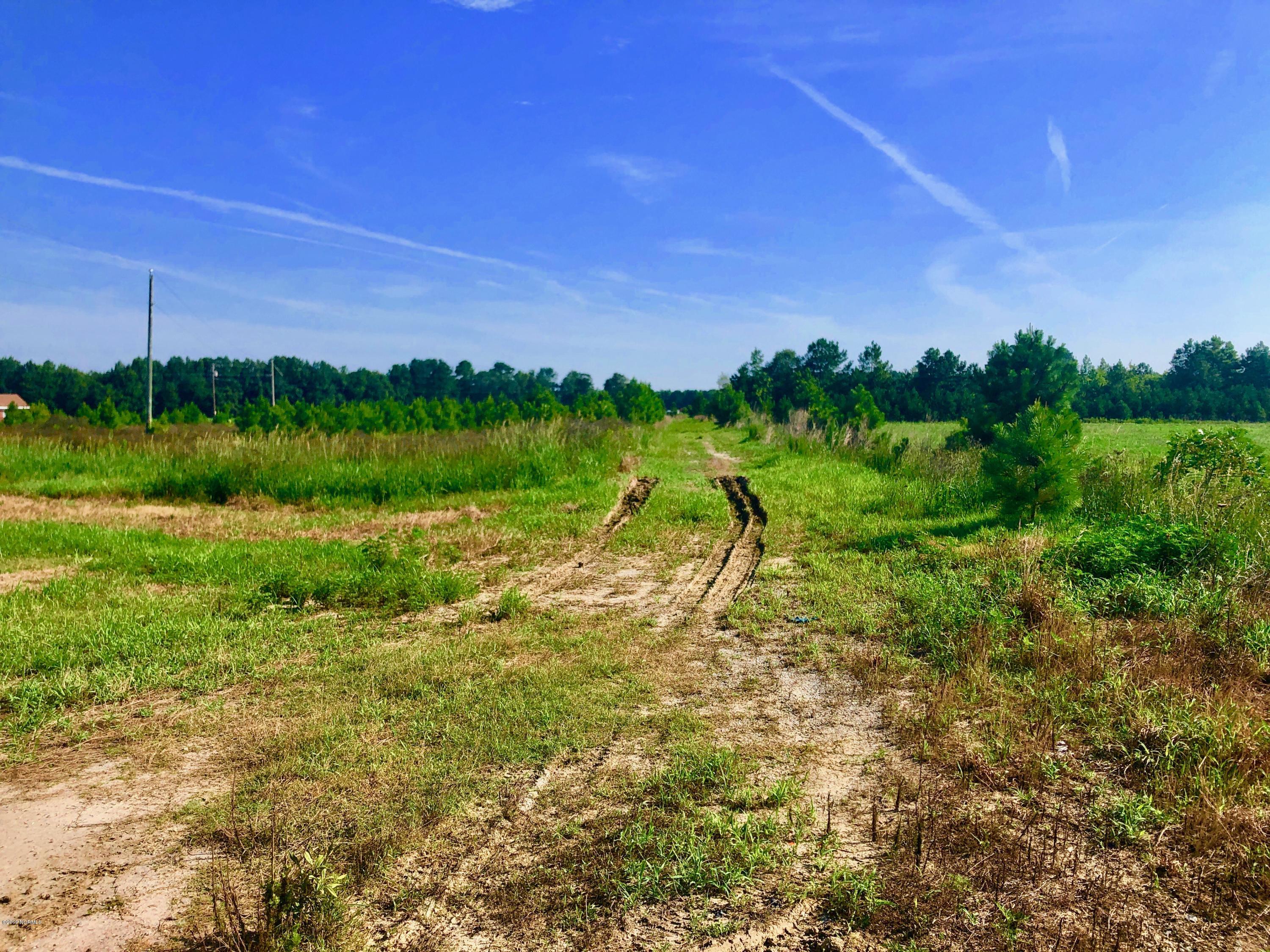 1499 Hardison Road Williamston, NC 27892 - Photo 54 of 78 IMG_8782