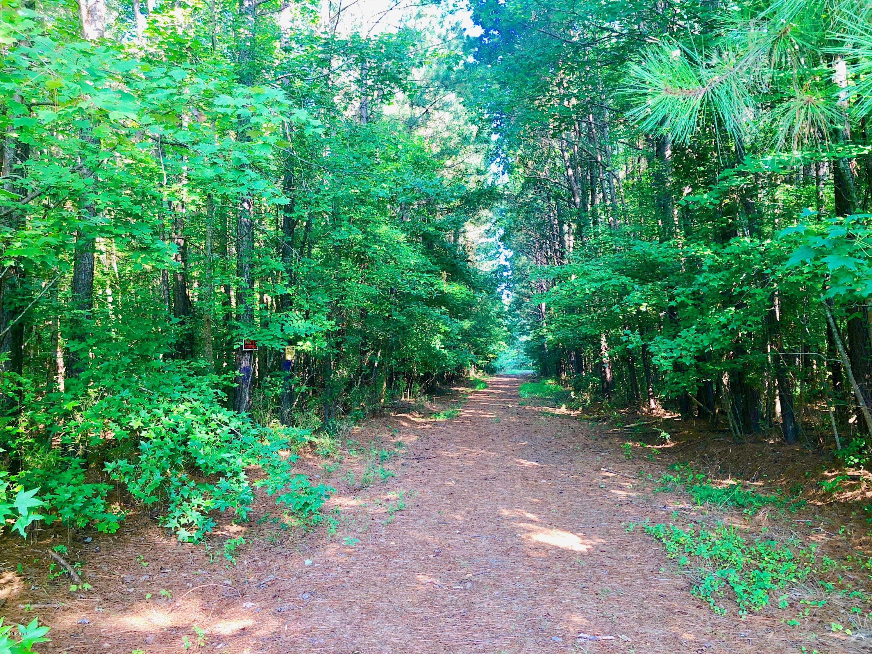 1499 Hardison Road Williamston, NC 27892 - Photo 58 of 78 IMG_8800