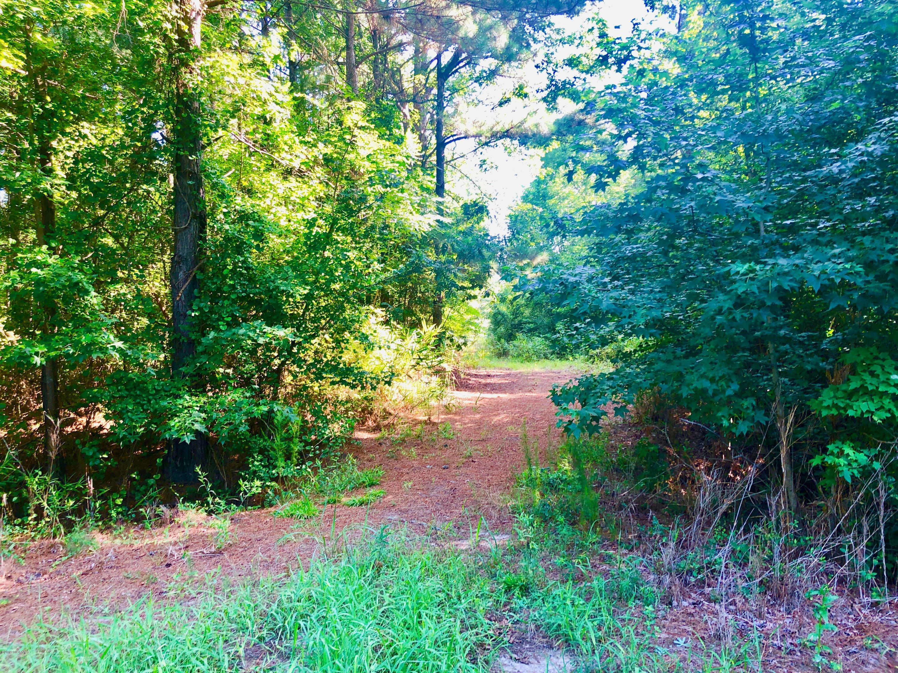 1499 Hardison Road Williamston, NC 27892 - Photo 59 of 78 IMG_8801