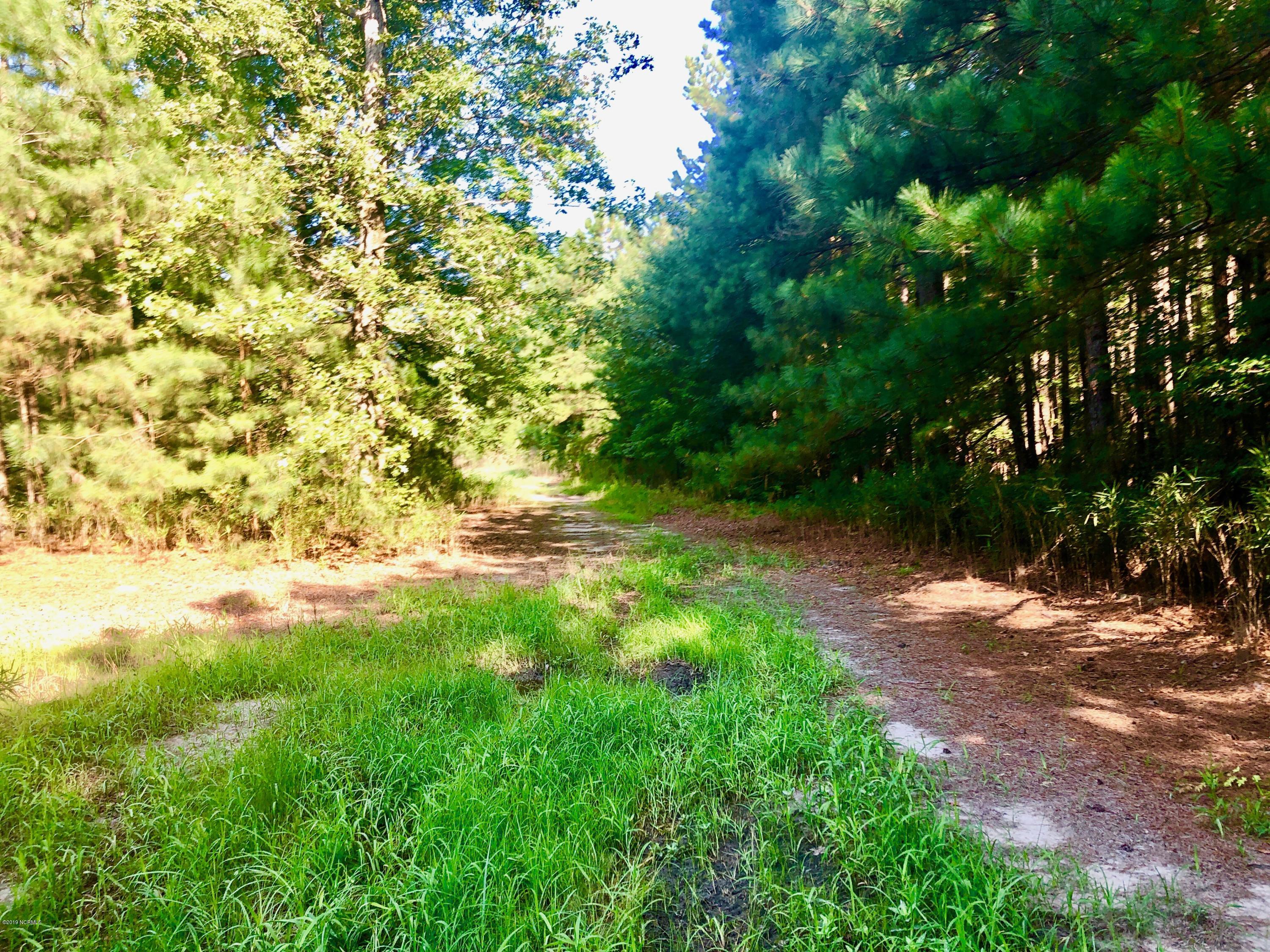 1499 Hardison Road Williamston, NC 27892 - Photo 60 of 78 IMG_8802