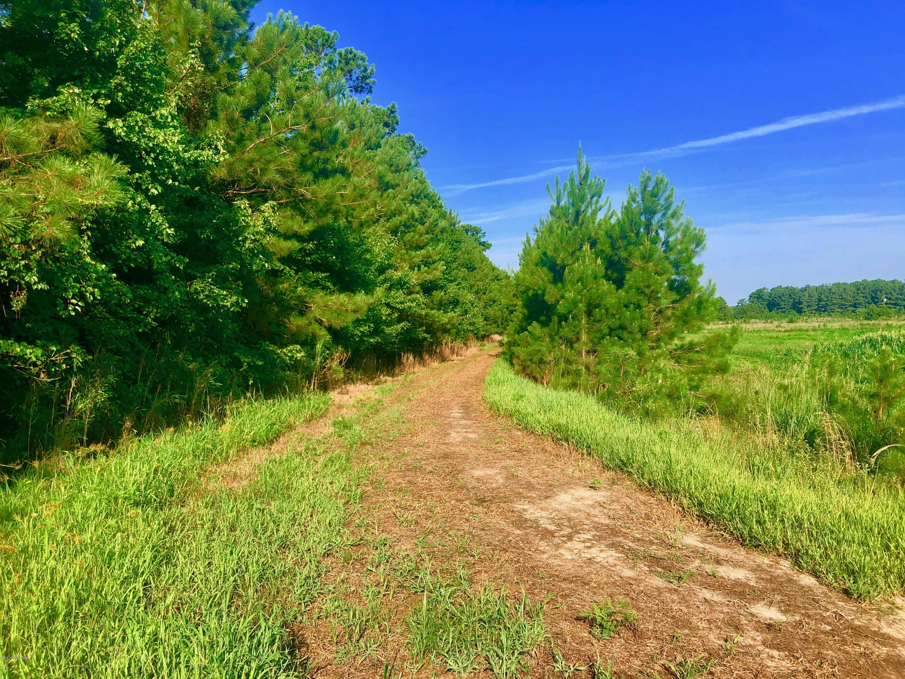 1499 Hardison Road Williamston, NC 27892 - Photo 6 of 78 IMG_8741