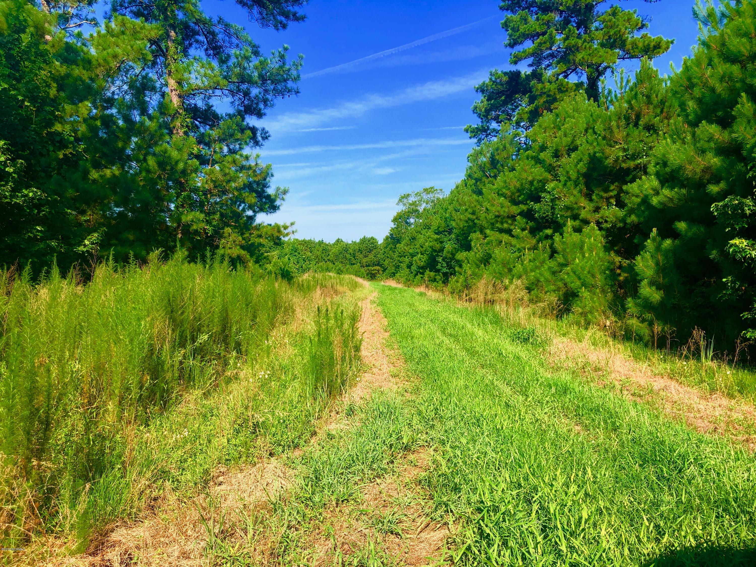 1499 Hardison Road Williamston, NC 27892 - Photo 61 of 78 IMG_8807