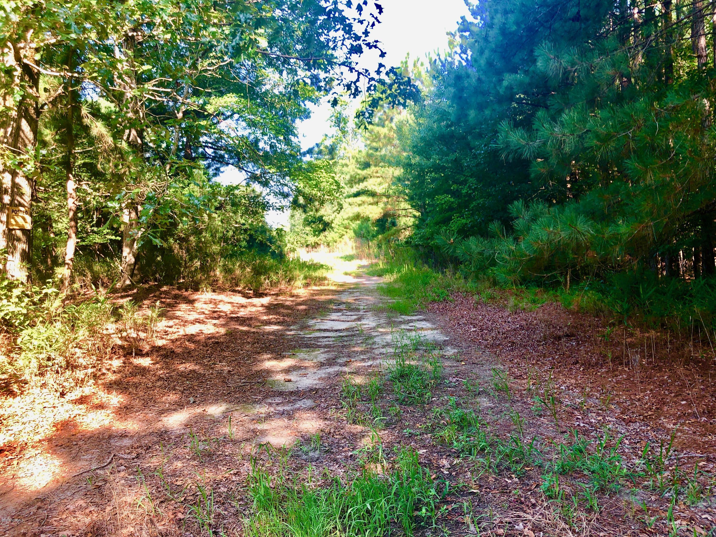 1499 Hardison Road Williamston, NC 27892 - Photo 62 of 78 IMG_8806
