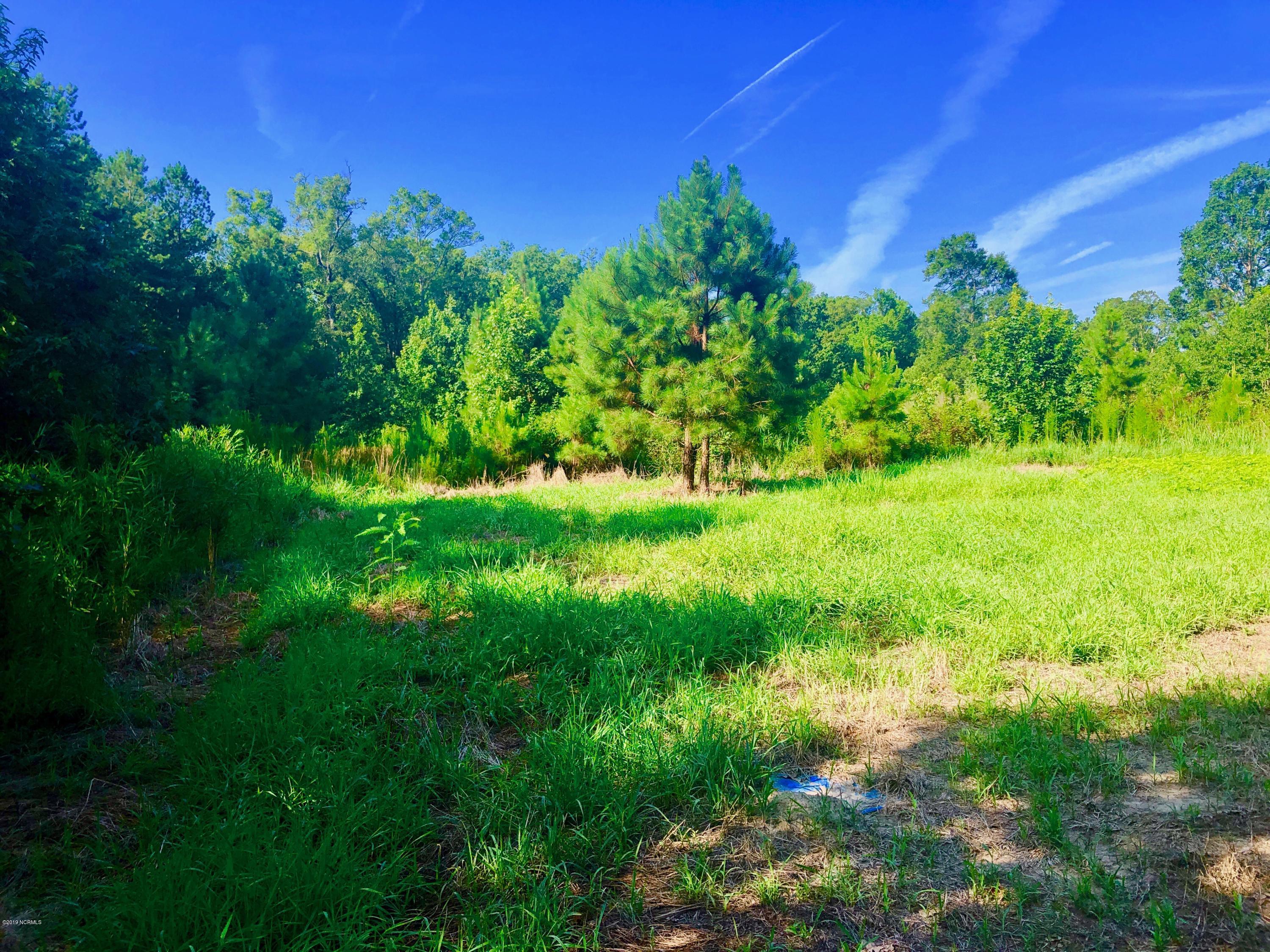1499 Hardison Road Williamston, NC 27892 - Photo 64 of 78 IMG_8804