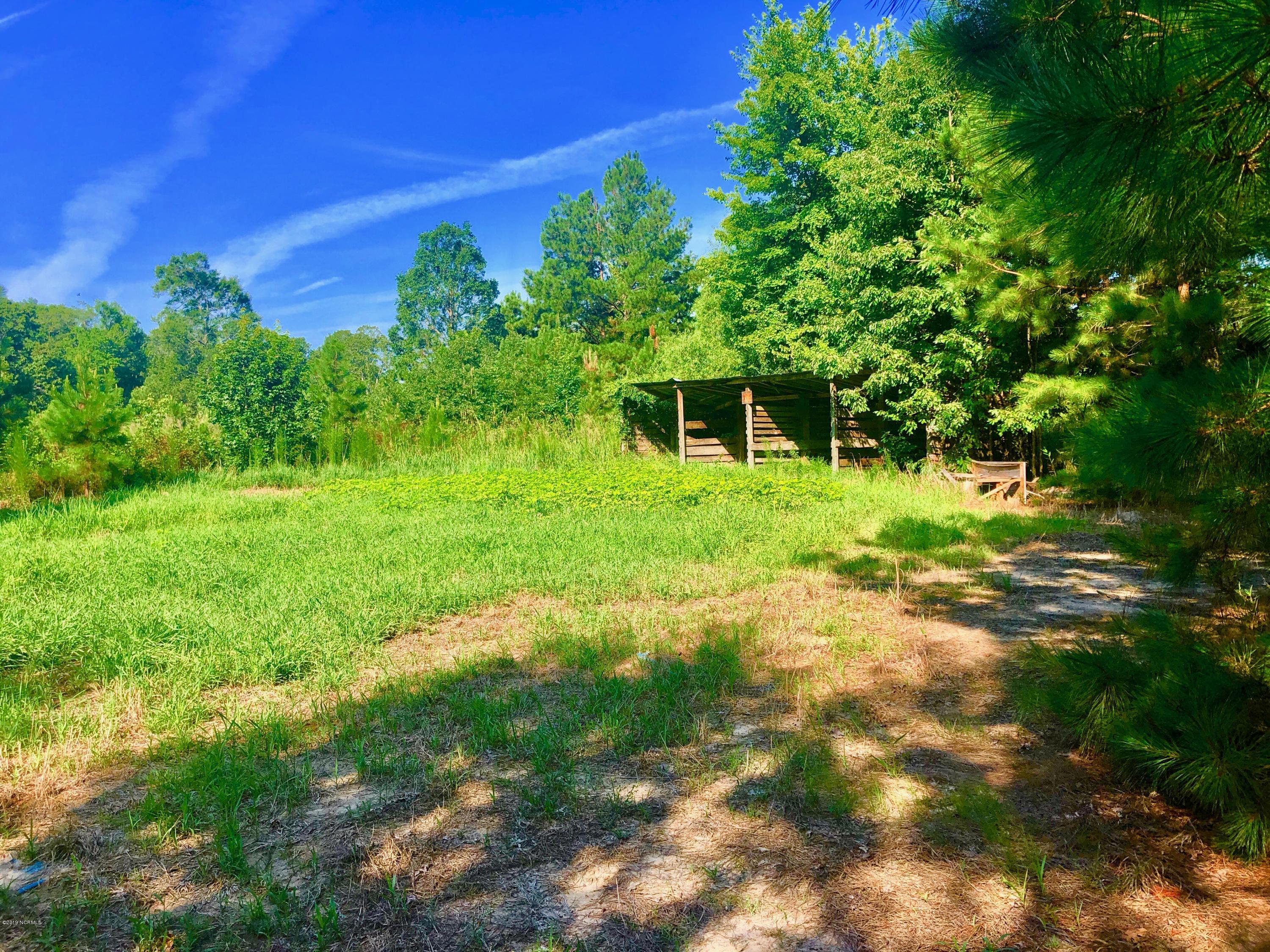1499 Hardison Road Williamston, NC 27892 - Photo 65 of 78 IMG_8803