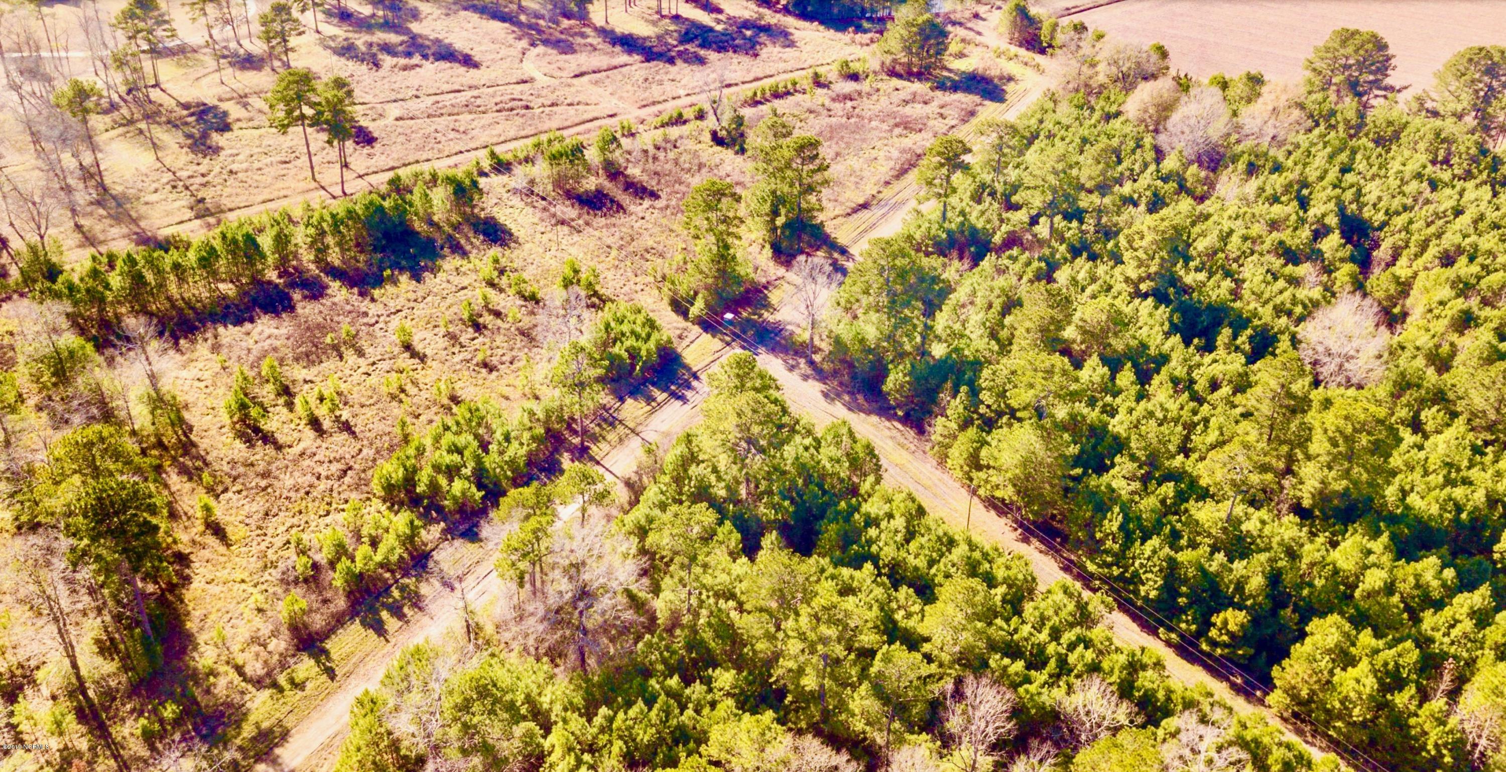 1499 Hardison Road Williamston, NC 27892 - Photo 75 of 78 Hunting Property