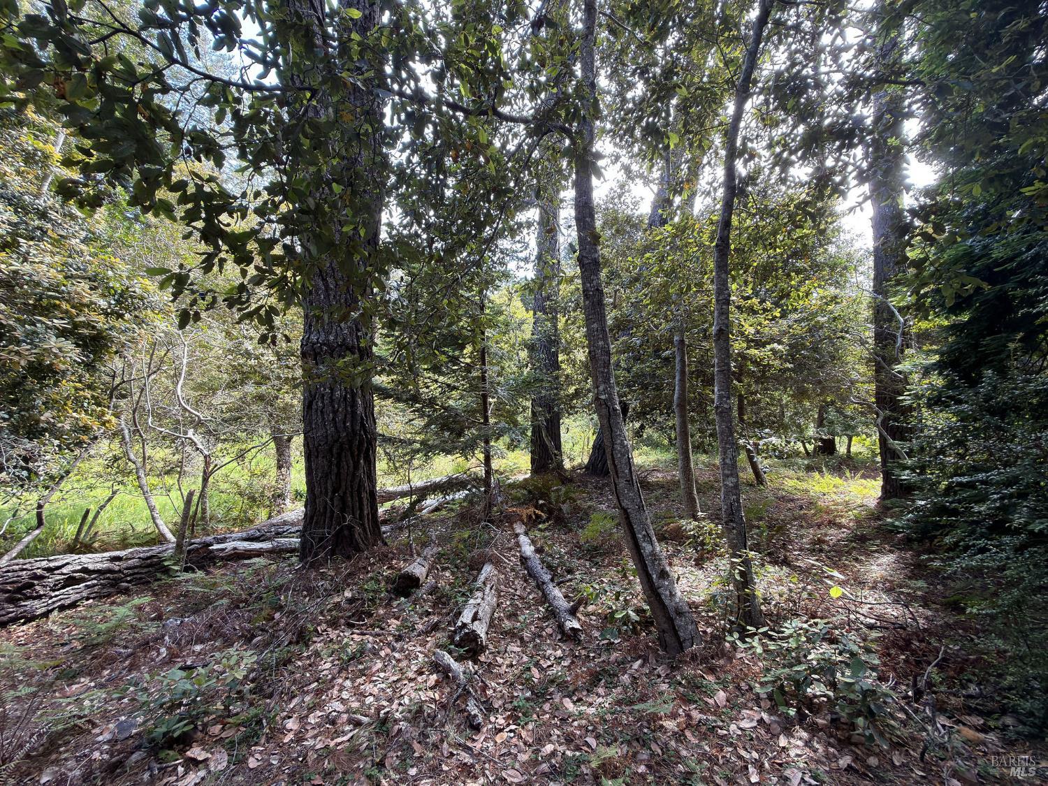 76 Compass Close The Sea Ranch, CA 95497 - Photo 11 of 29
