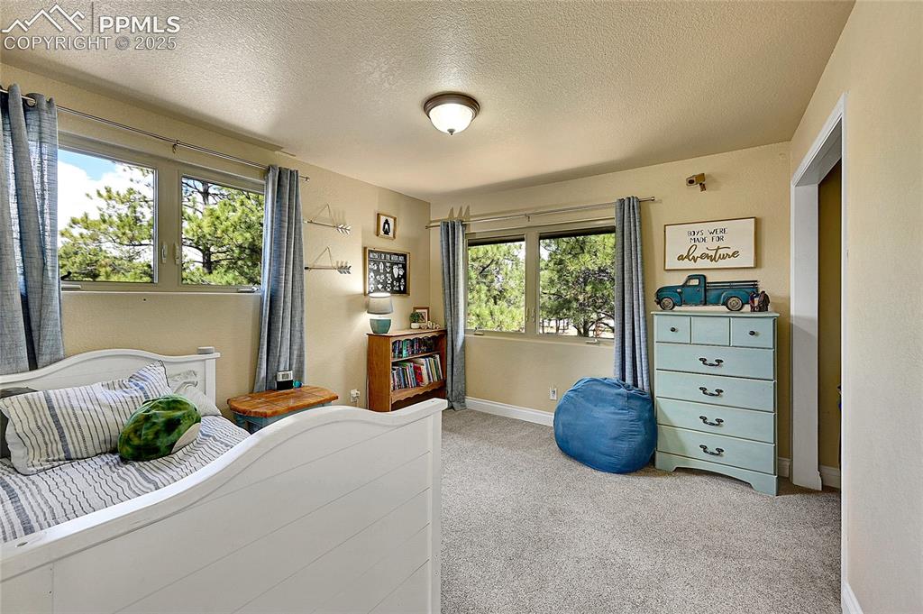 17350 Goshawk Road Colorado Springs, CO 80908 - Photo 25 of 50 a living room with furniture and a window