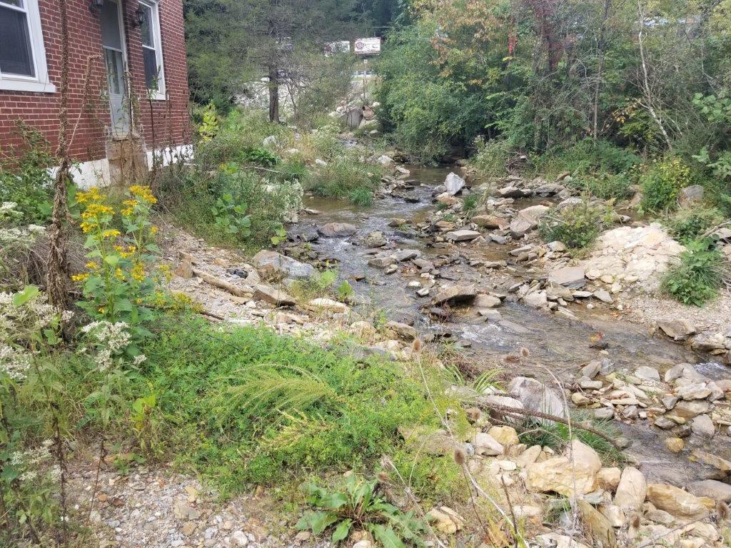 5913 Brethren Road Roanoke, VA 24014 - Photo 16 of 17 a view of a plants and yard