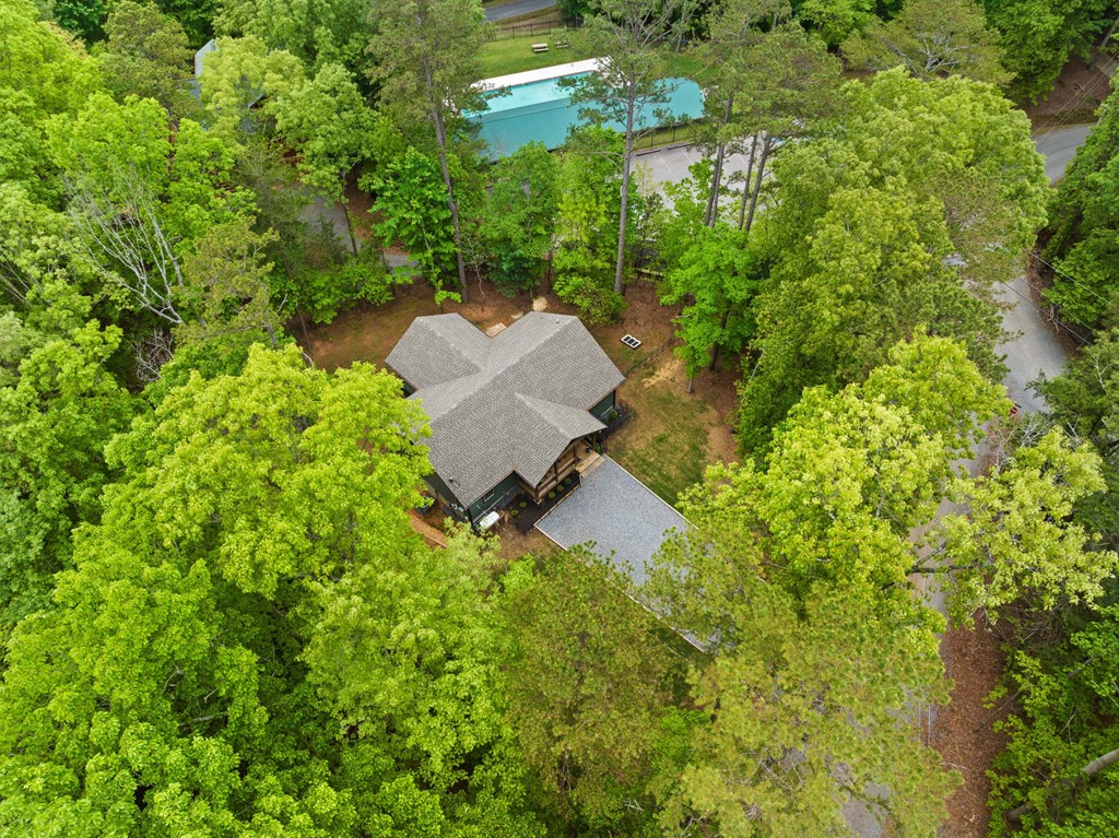 20 Mohawk Trail Ellijay, GA 30540 - Photo 45 of 84