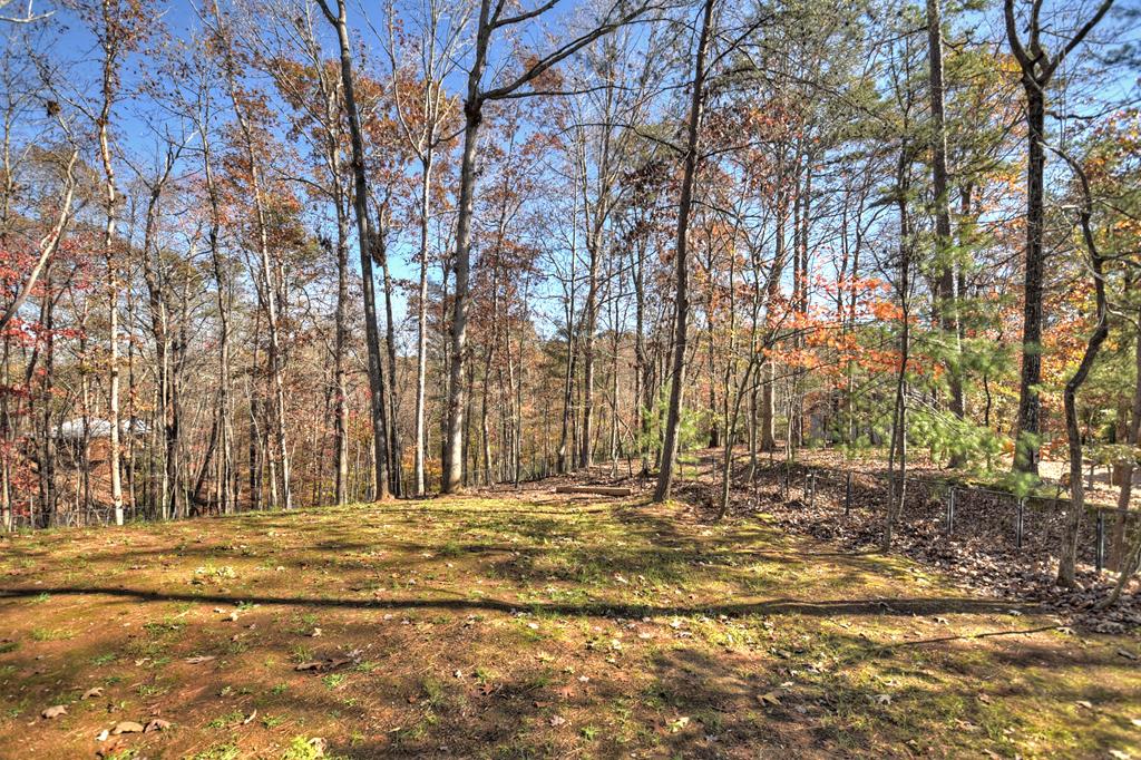 20 Mohawk Trail Ellijay, GA 30540 - Photo 49 of 84 Overhead of home close to Foxhound pool area