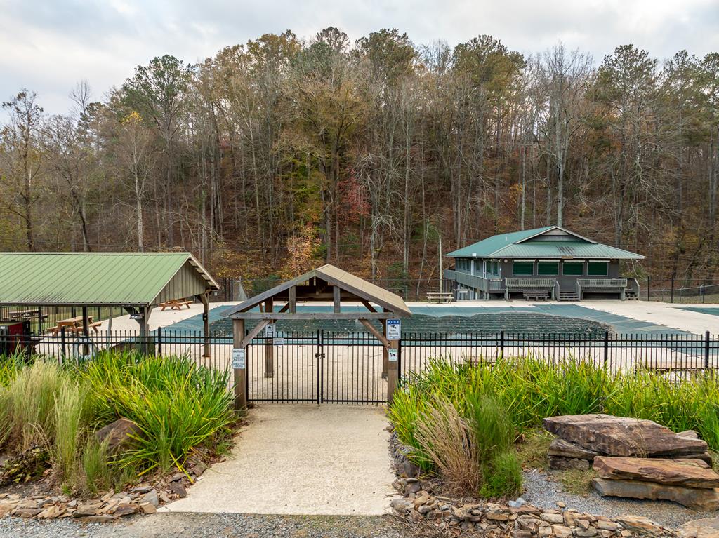 20 Mohawk Trail Ellijay, GA 30540 - Photo 50 of 84 New ramp to back yard from sunroom