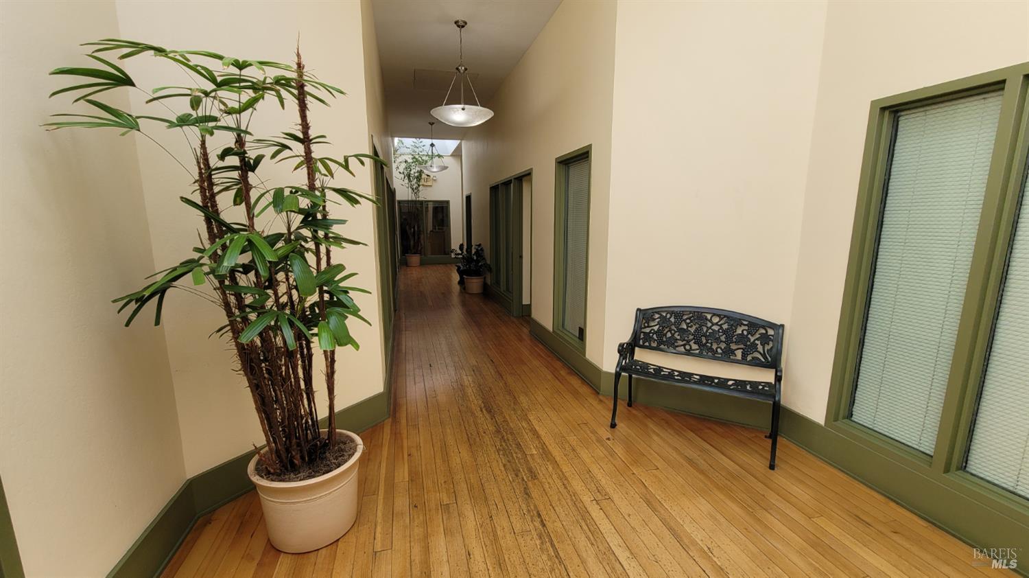 613 4th Street Santa Rosa, CA 95404 - Photo 9 of 12 a living room with furniture and a potted plant