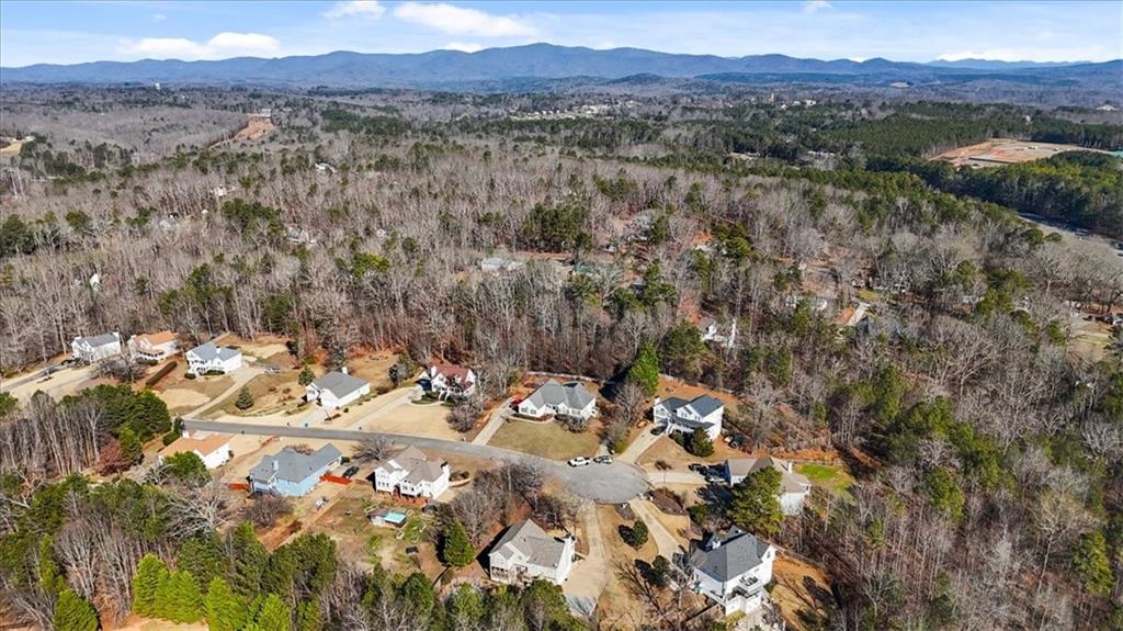 608 Greenleaf Way Ball Ground, GA 30107 - Photo 64 of 68