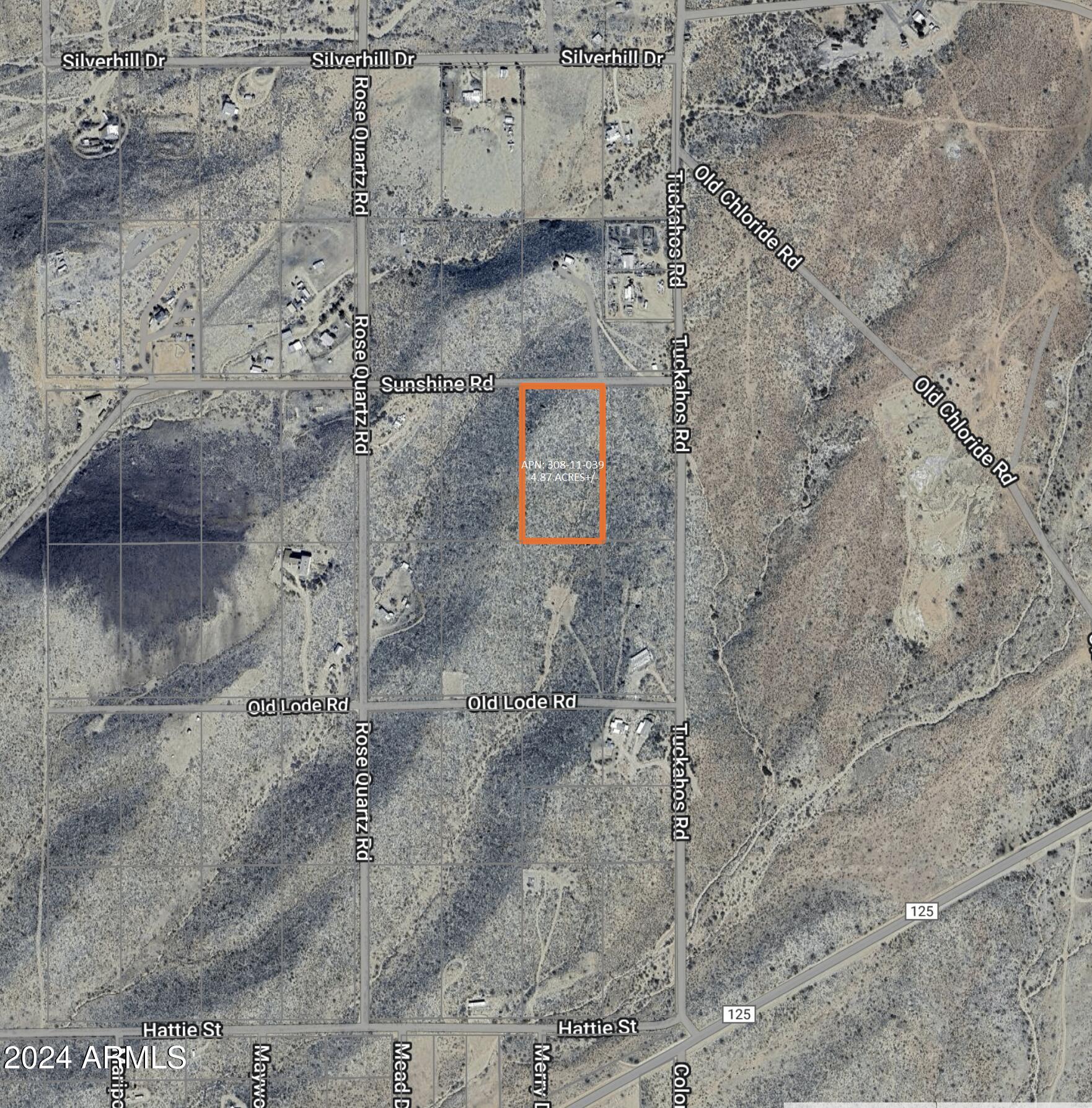 6068 Sunshine Road Chloride, AZ 86431 - Photo 2 of 10 6068 W Sunshine RD