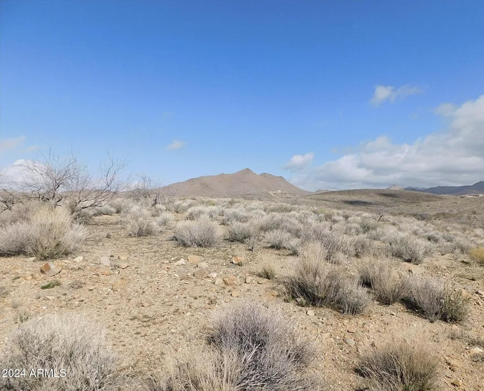 6068 Sunshine Road Chloride, AZ 86431 - Photo 6 of 10 6068 W Sunshine RD